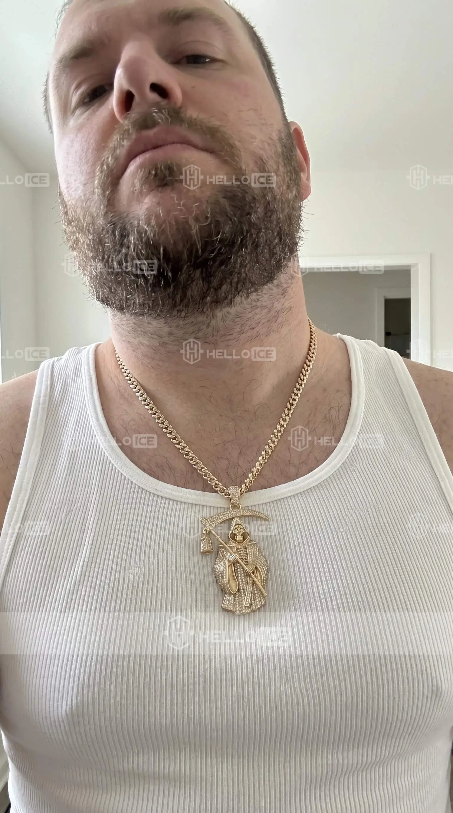 Helloice Review Image