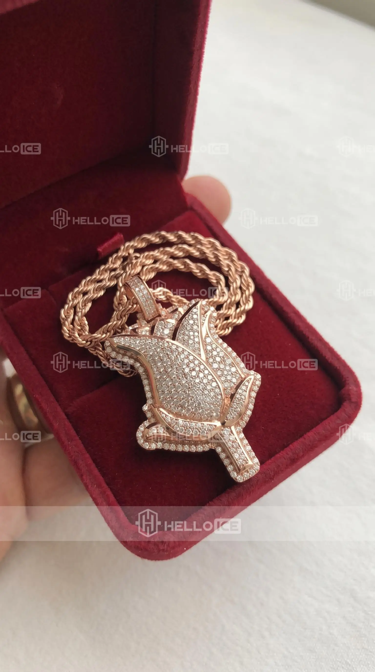 Helloice Review Image