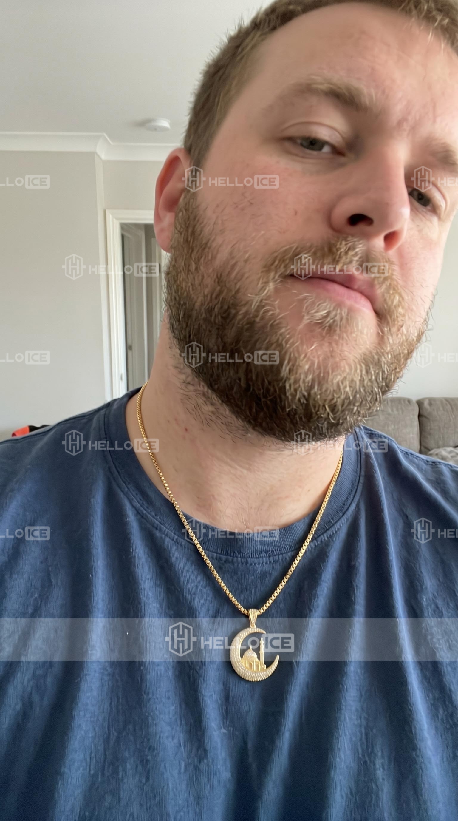 Helloice Review Image