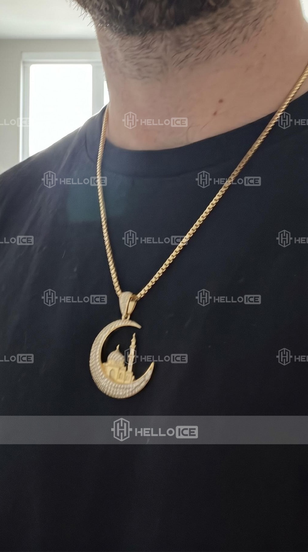 Helloice Review Image