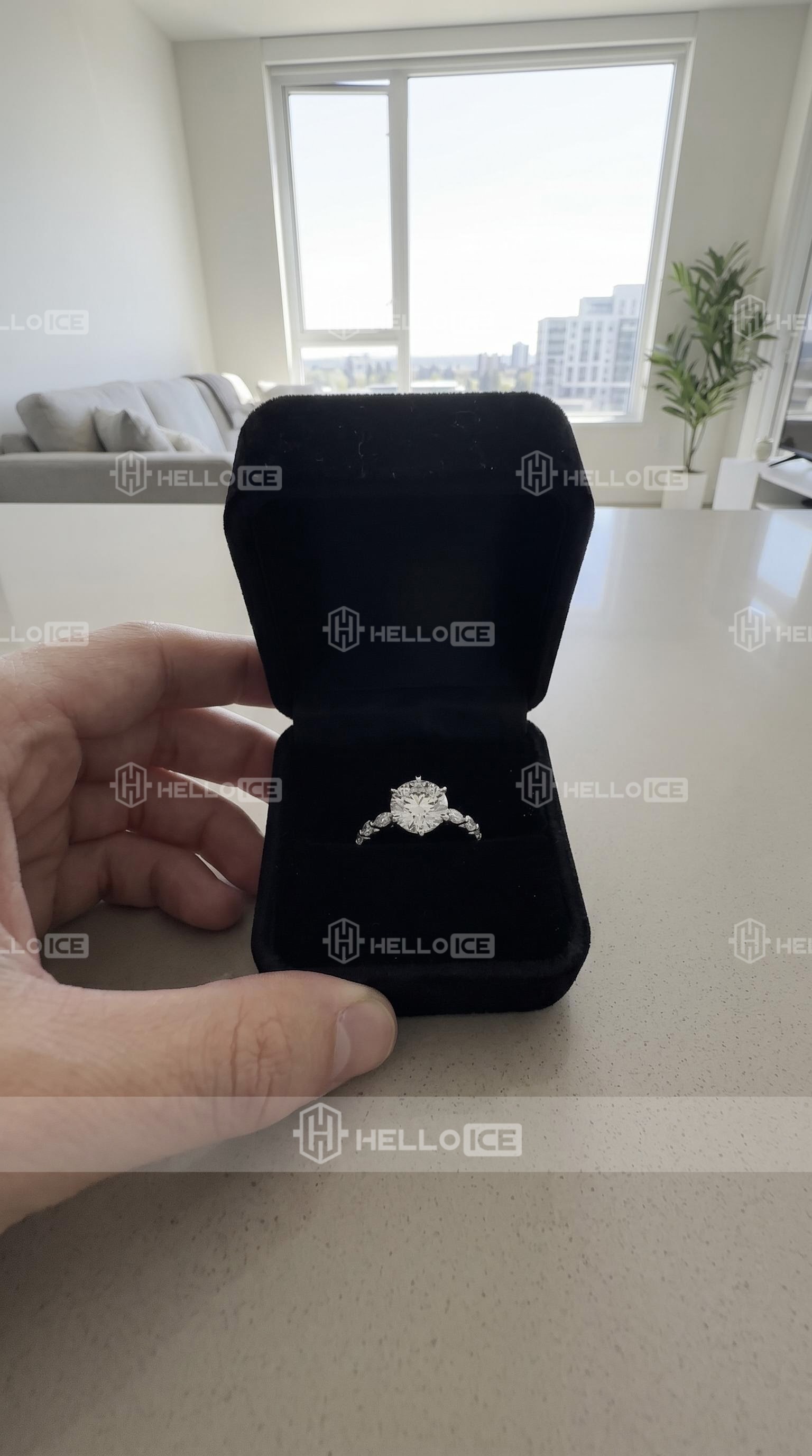 Helloice Review Image