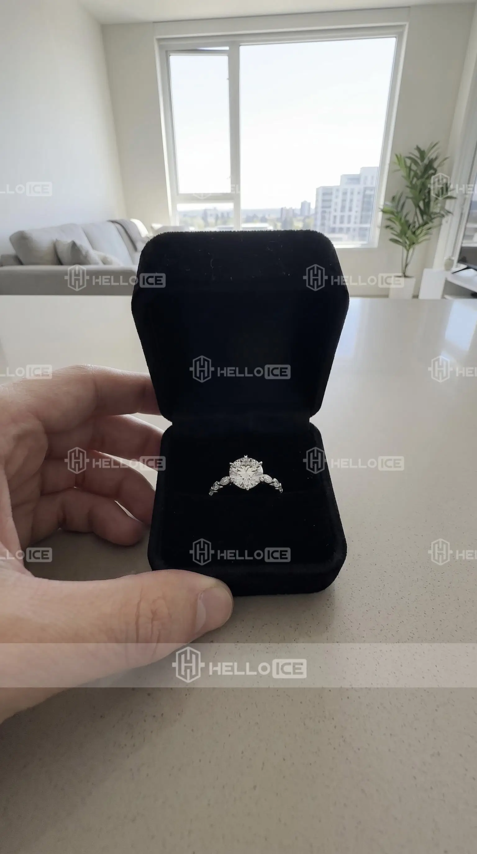 Helloice Review Image
