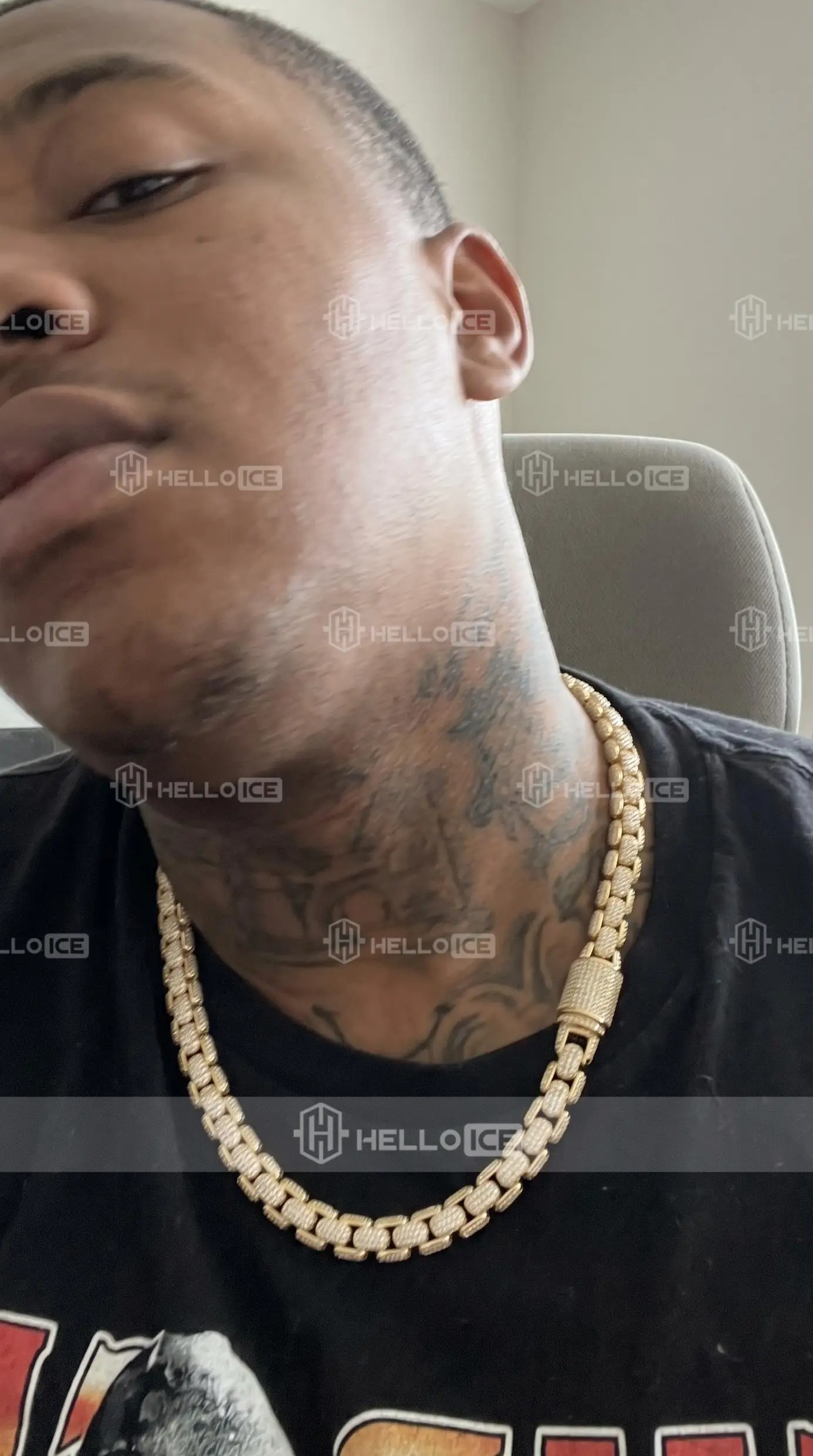 Helloice Review Image