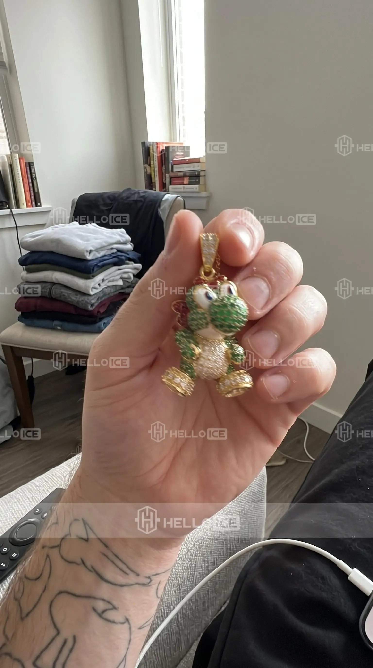 Helloice Review Image