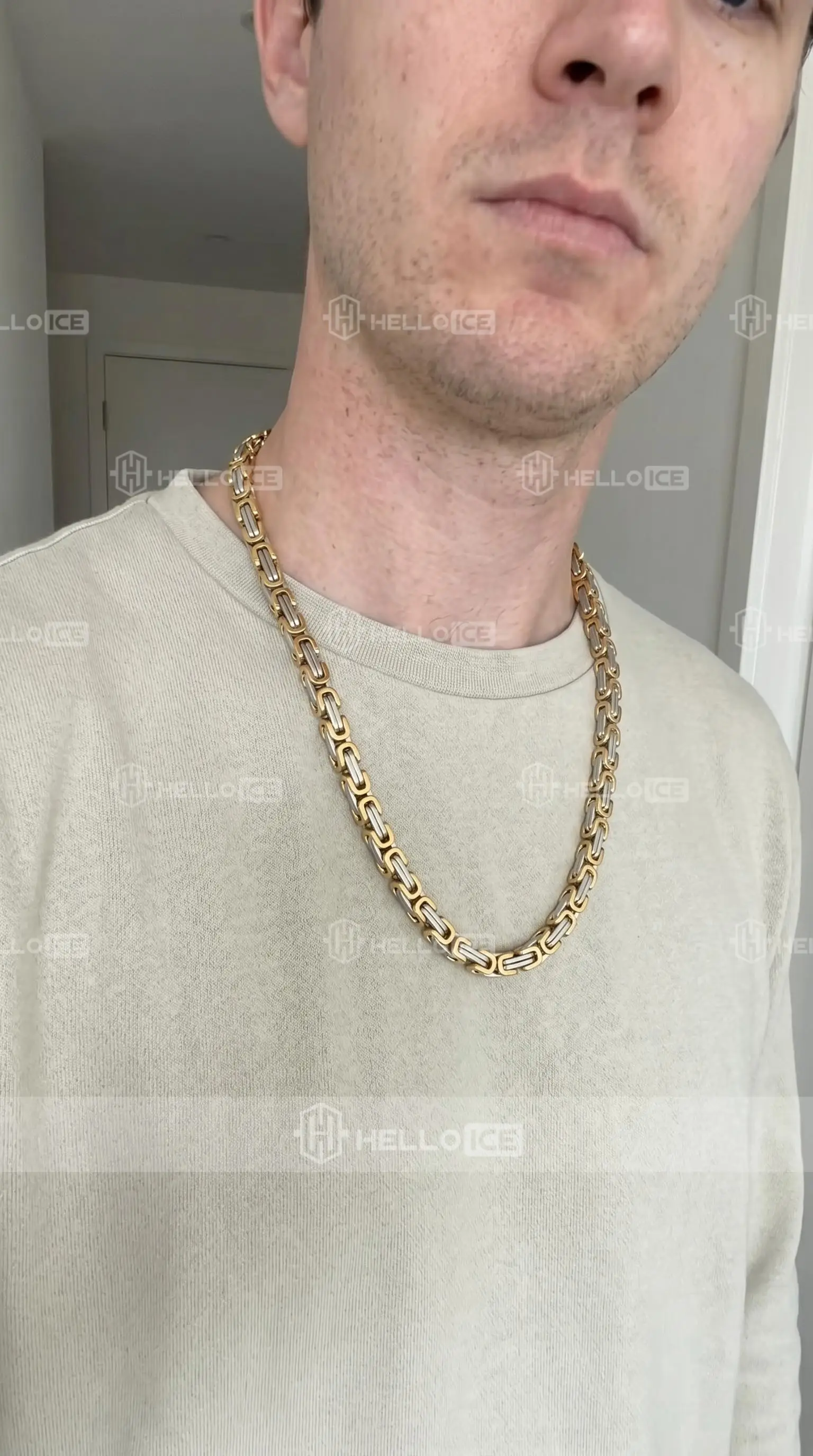 Helloice Review Image