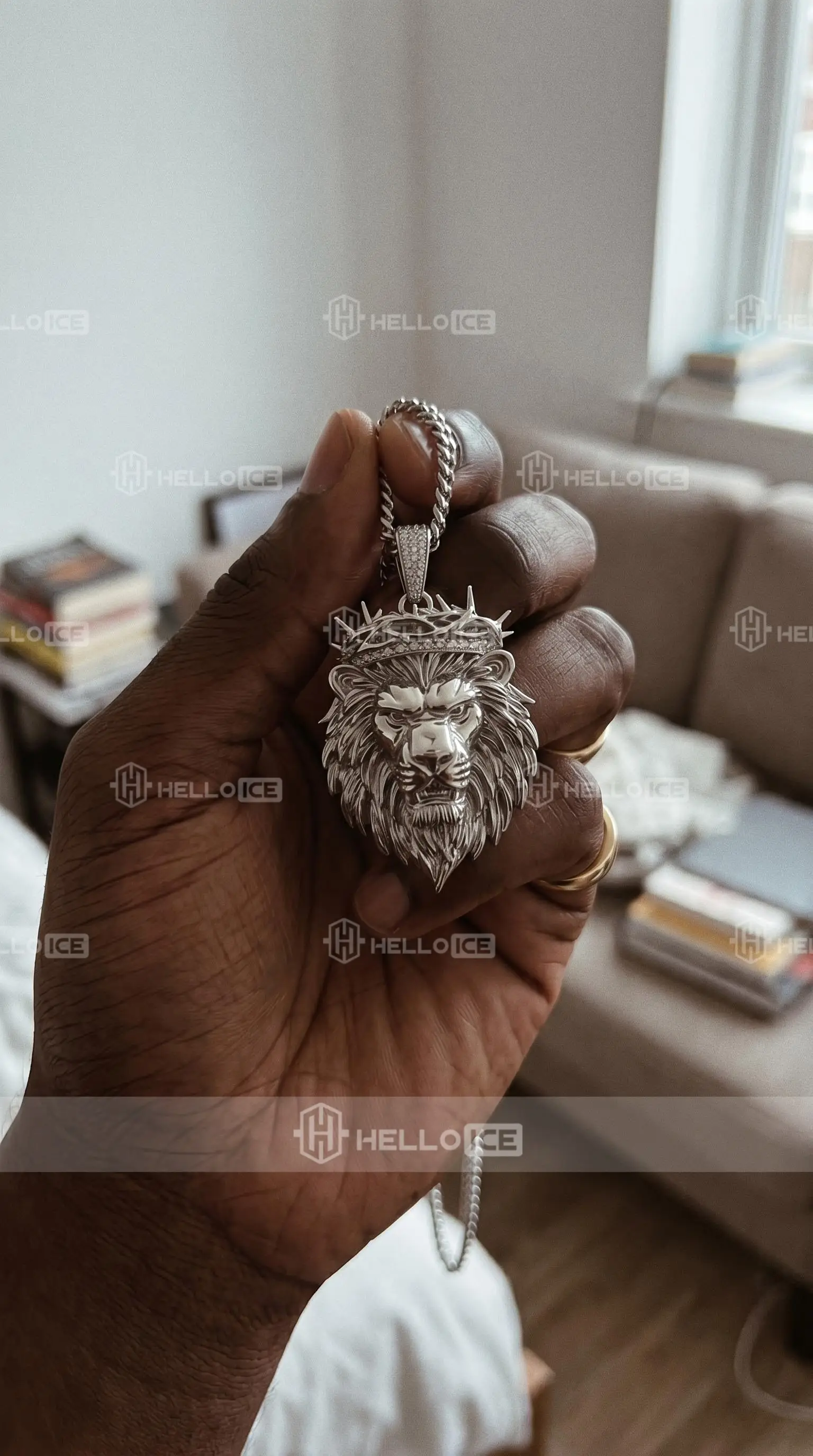 Helloice Review Image