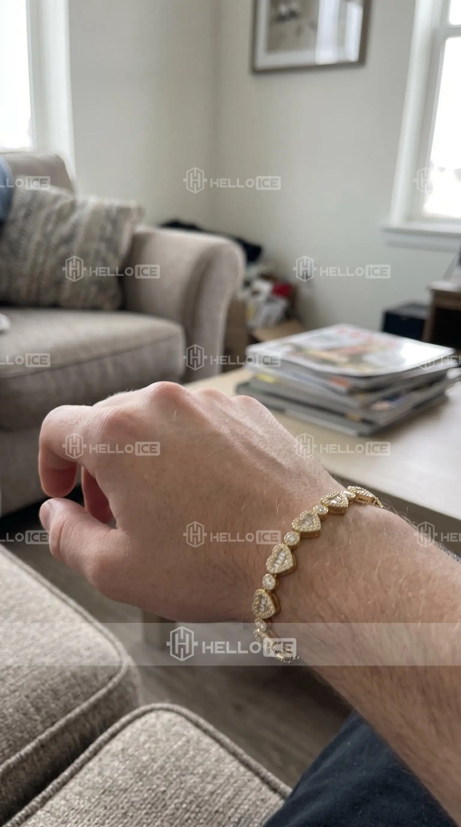 Helloice Review Image