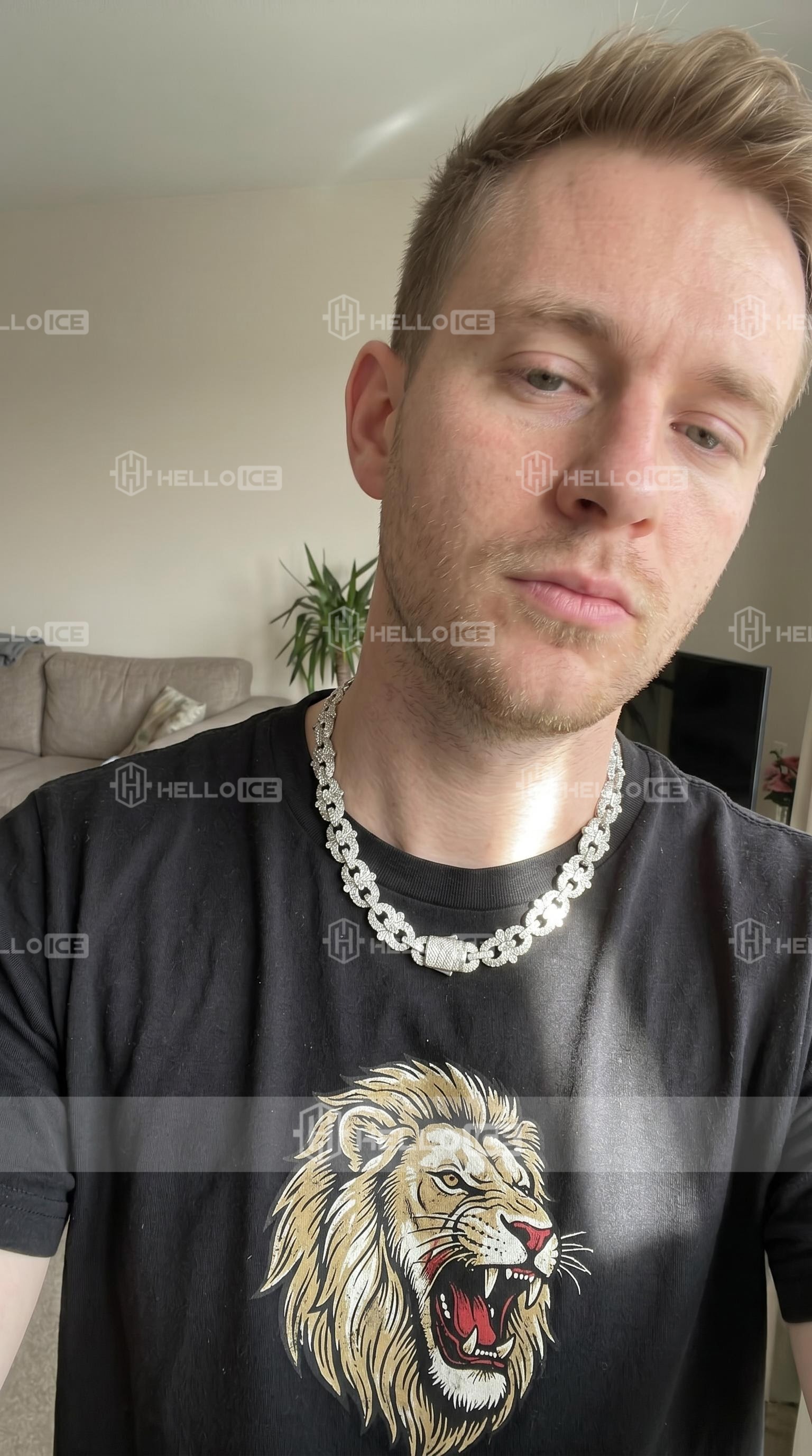 Helloice Review Image