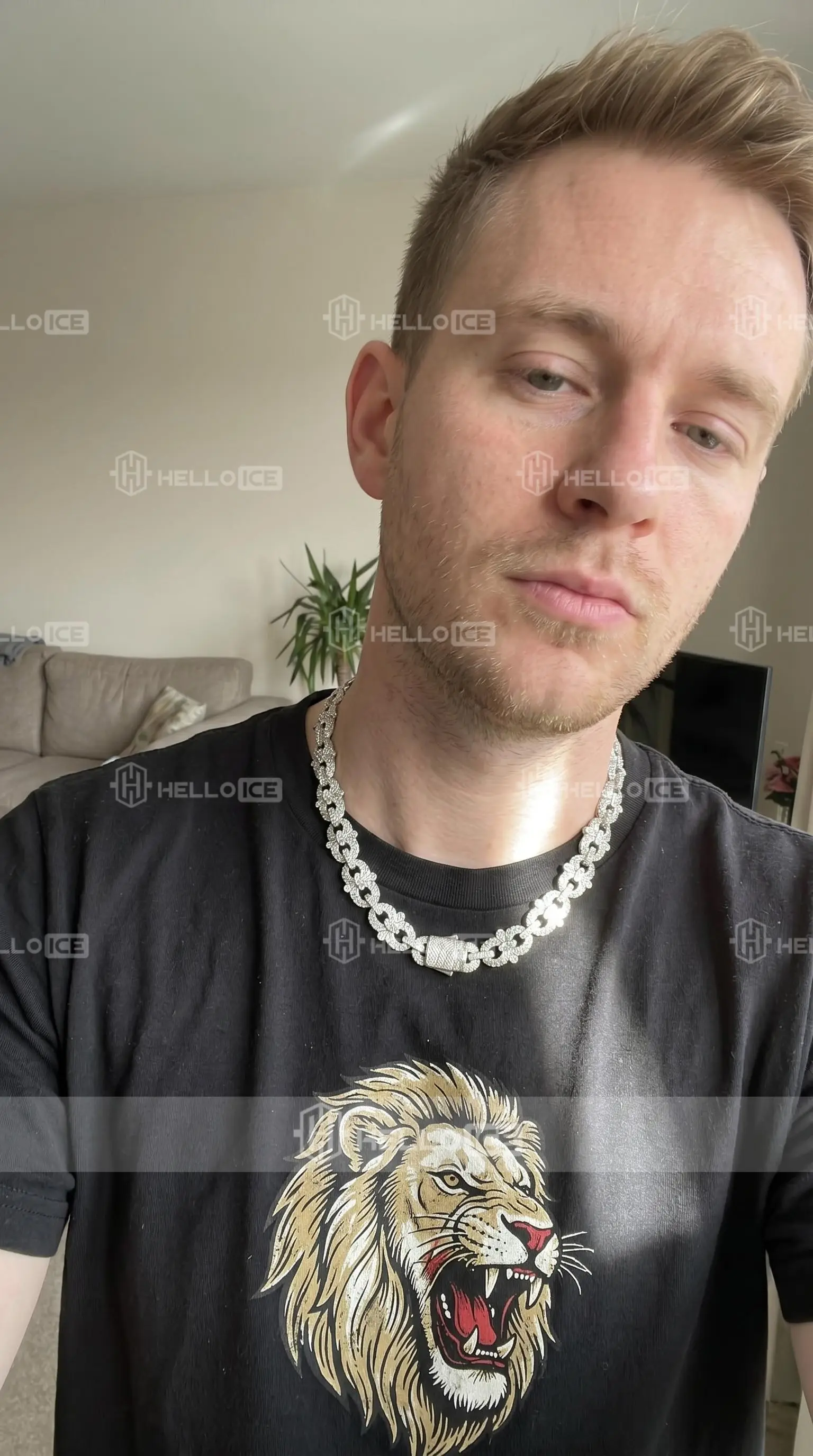 Helloice Review Image