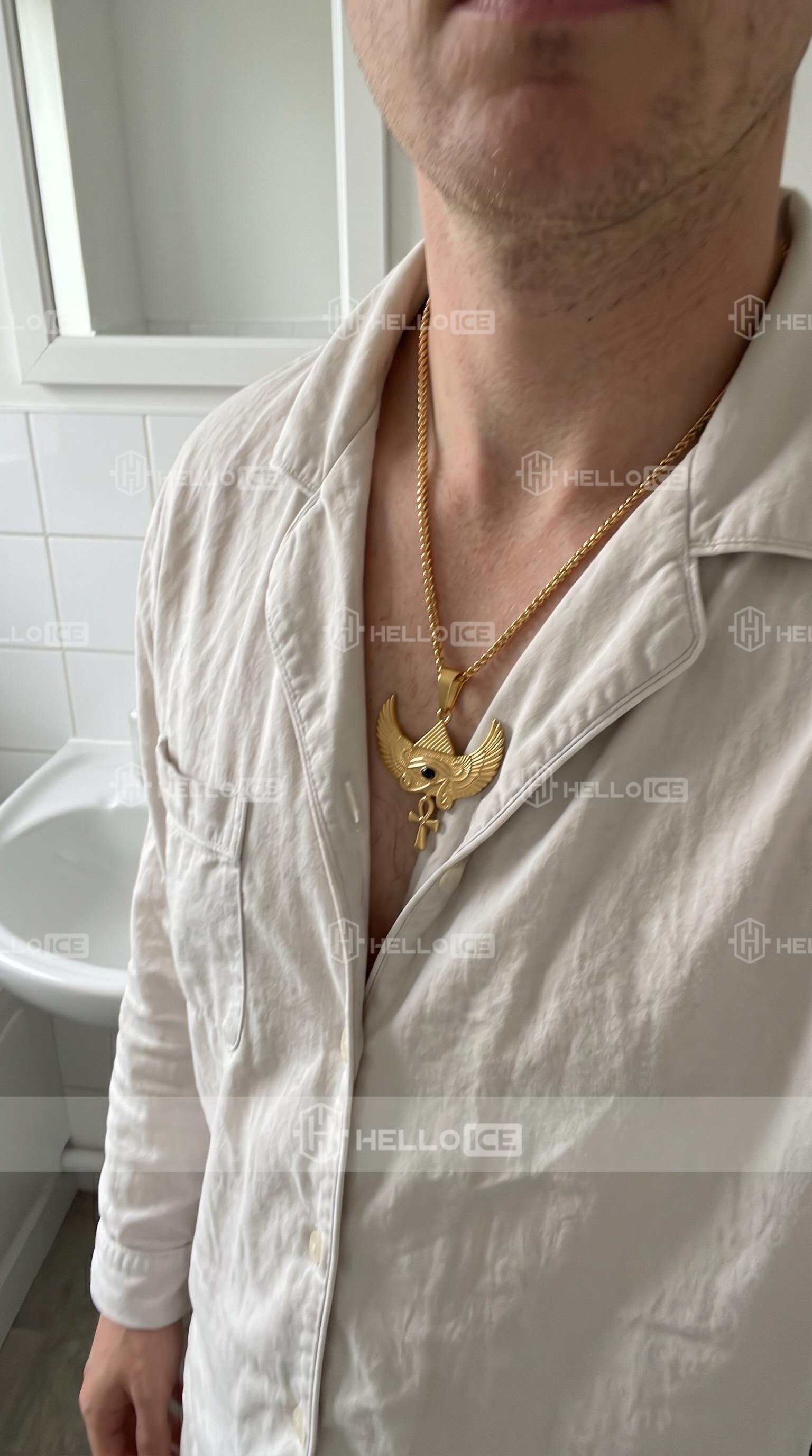 Helloice Review Image