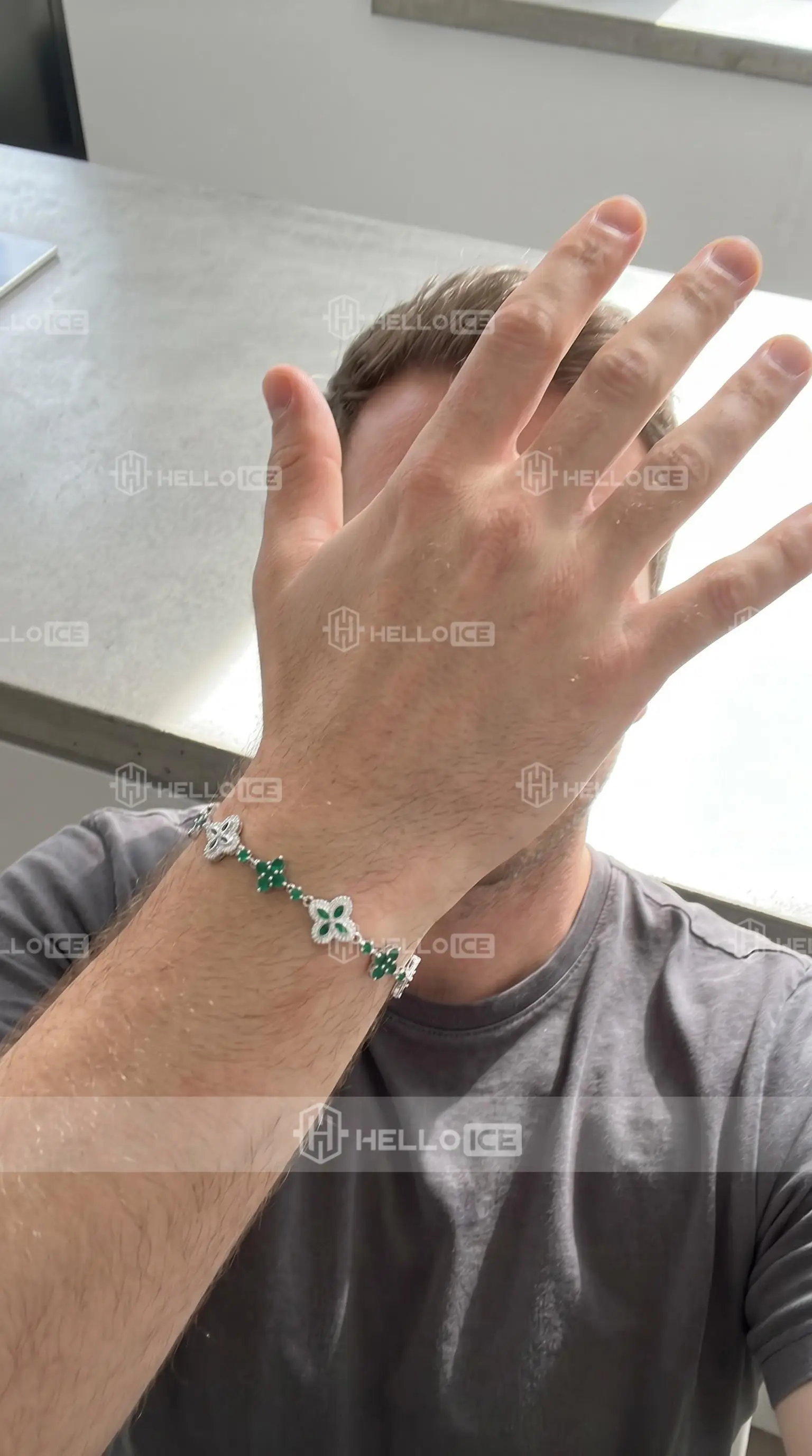 Helloice Review Image