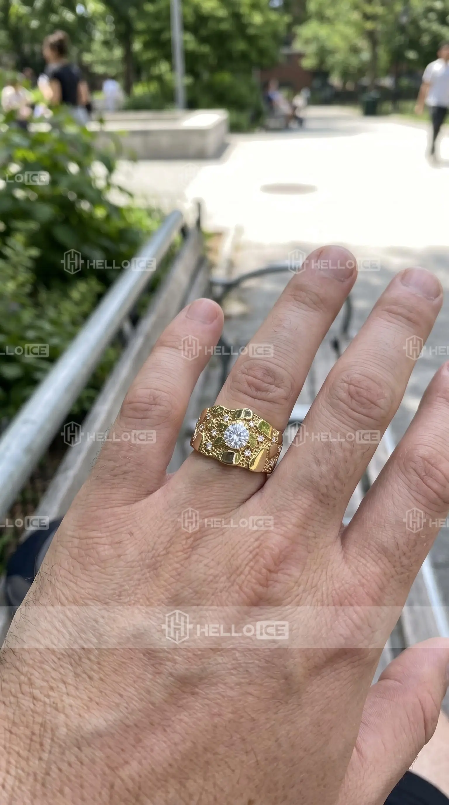 Helloice Review Image