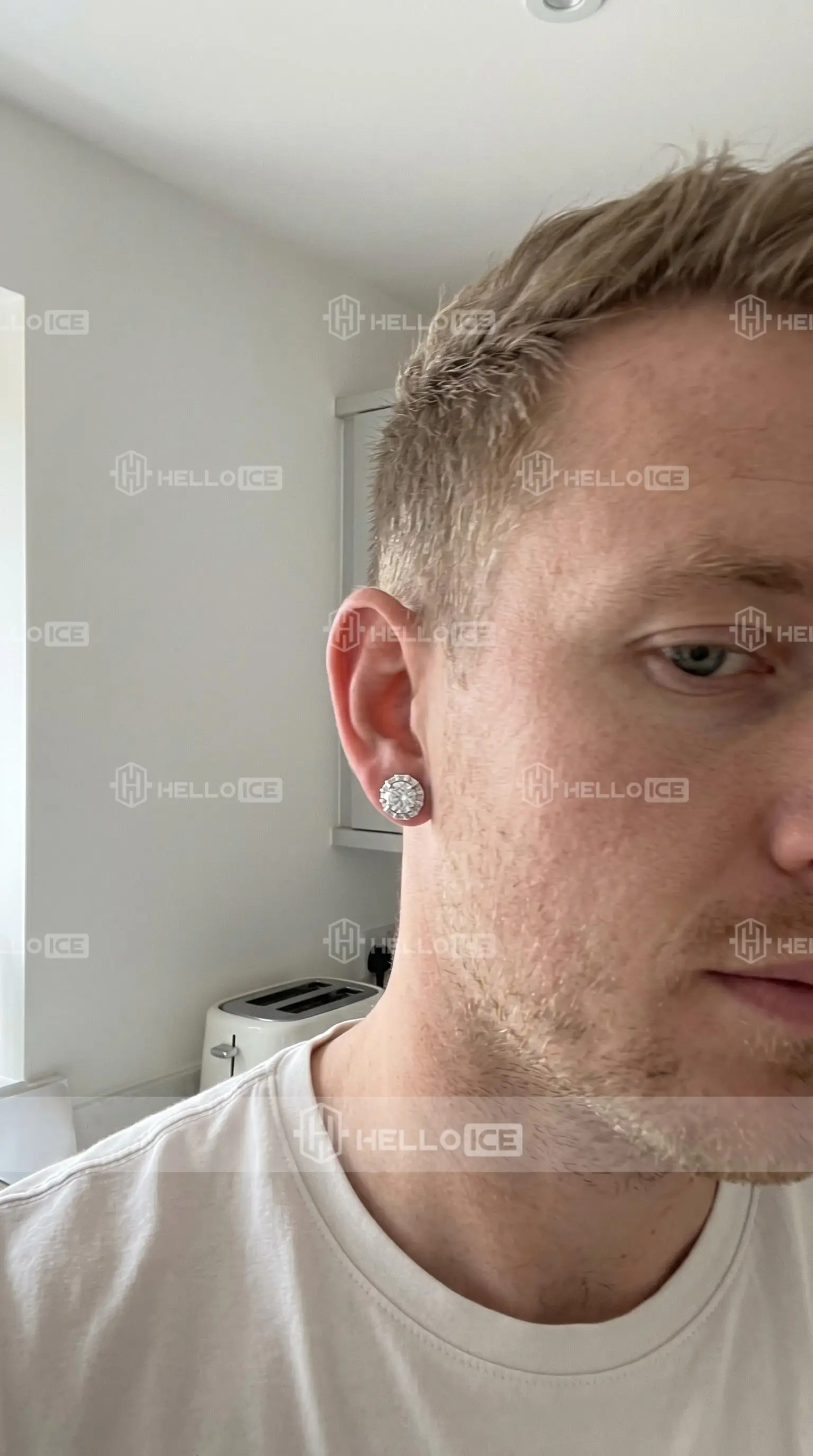 Helloice Review Image