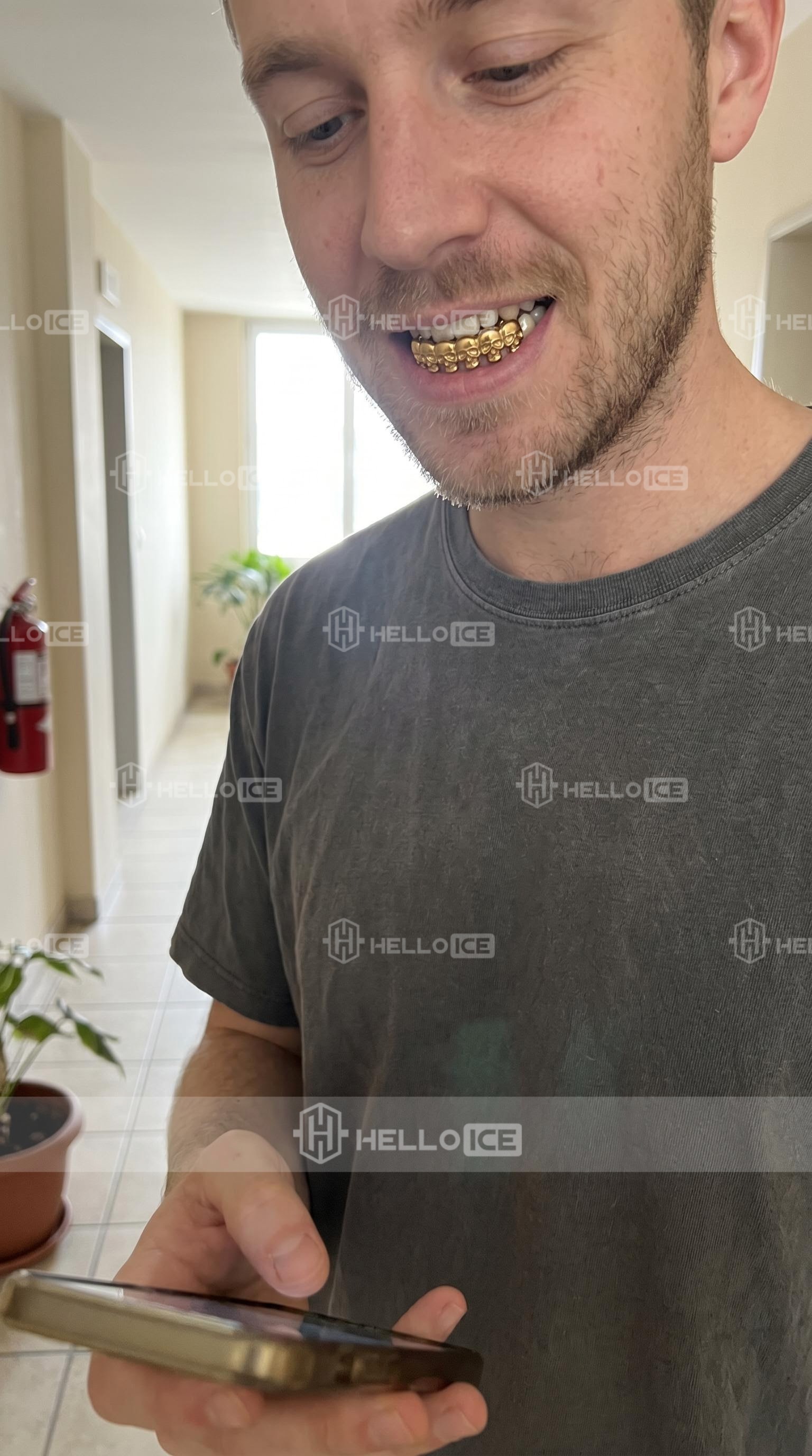Helloice Review Image
