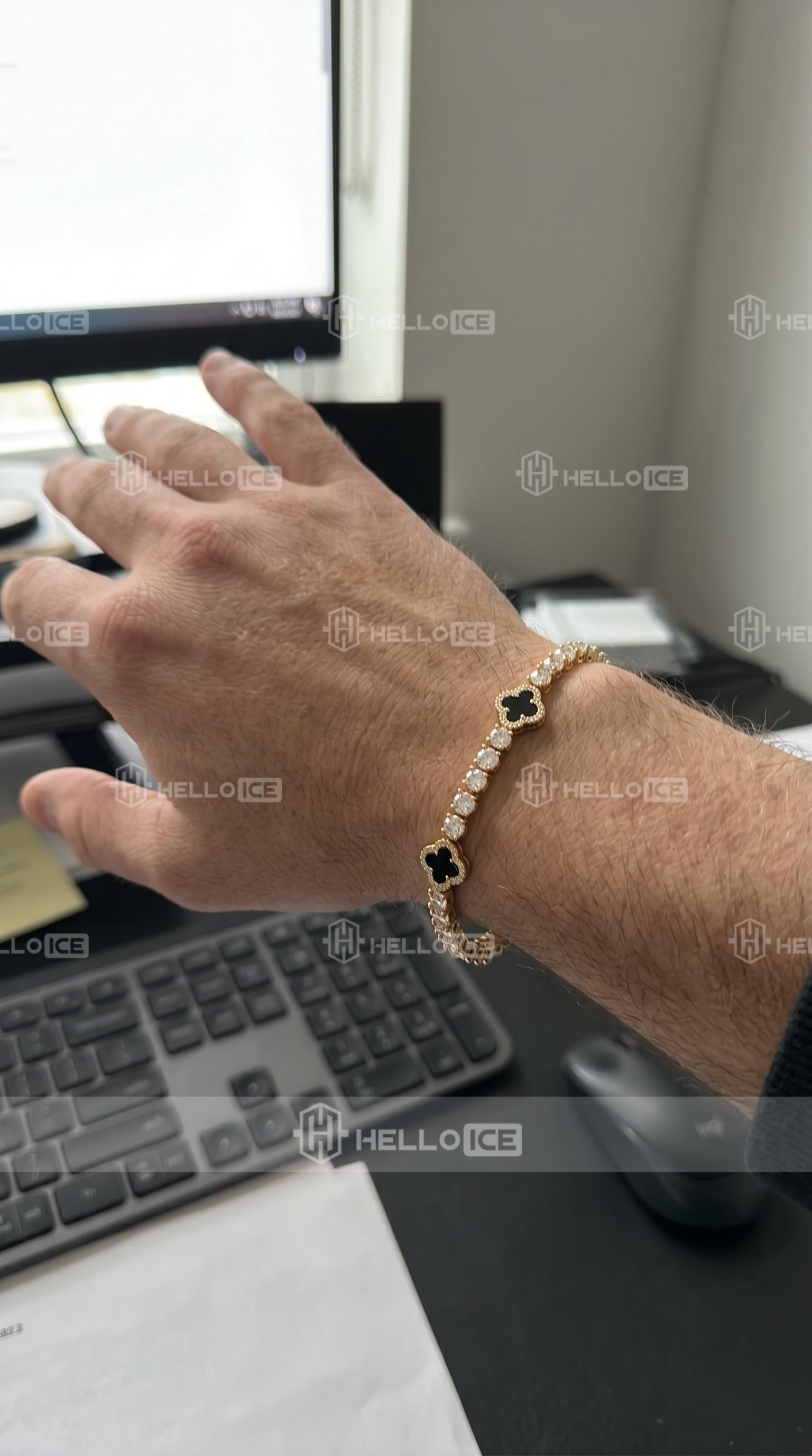 Helloice Review Image