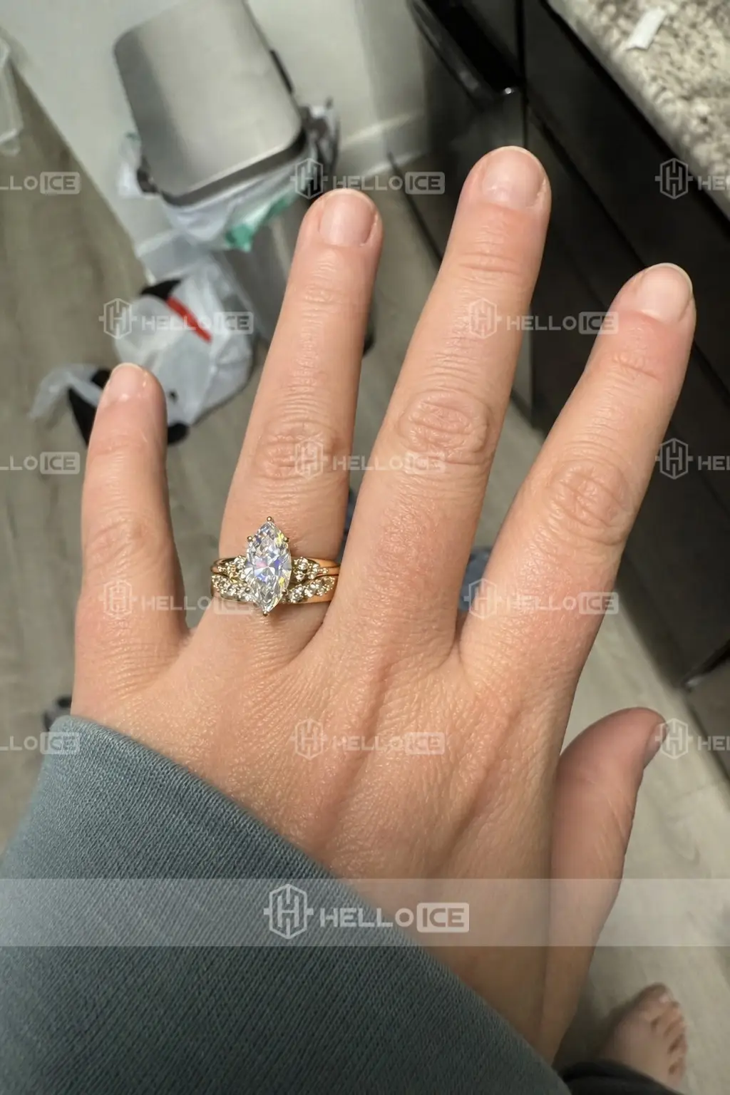 Helloice Review Image
