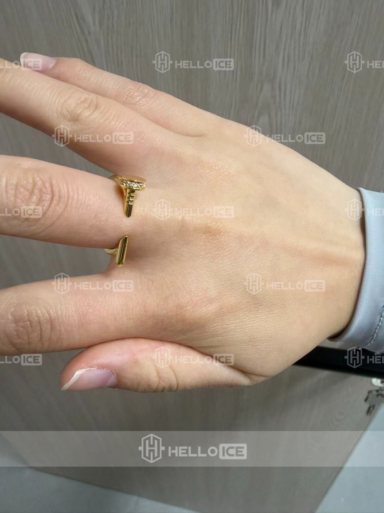 Helloice Review Image
