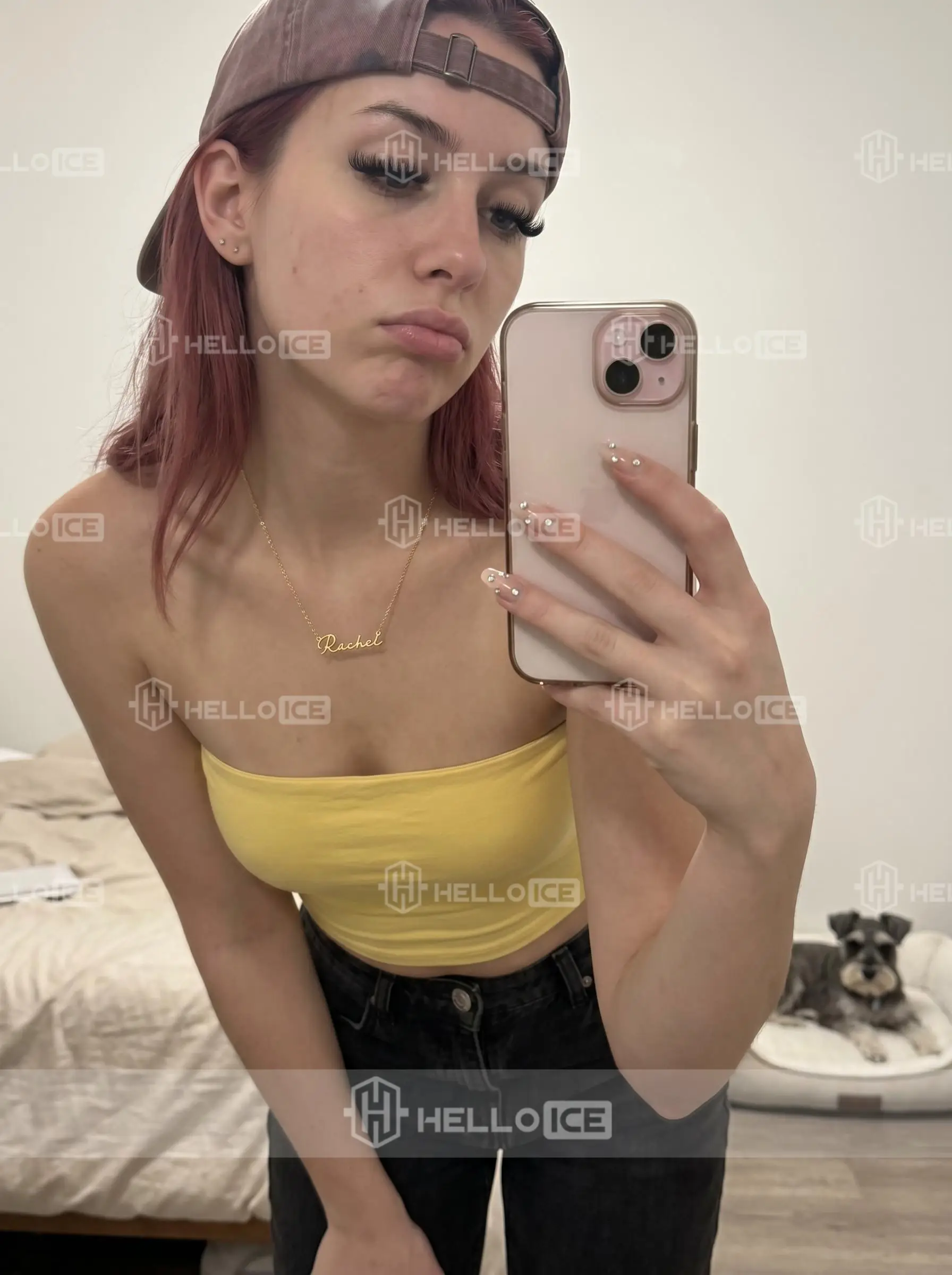 Helloice Review Image