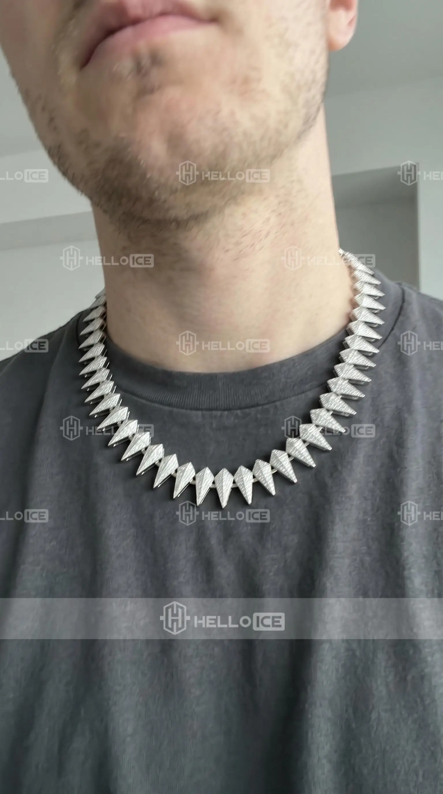 Helloice Review Image