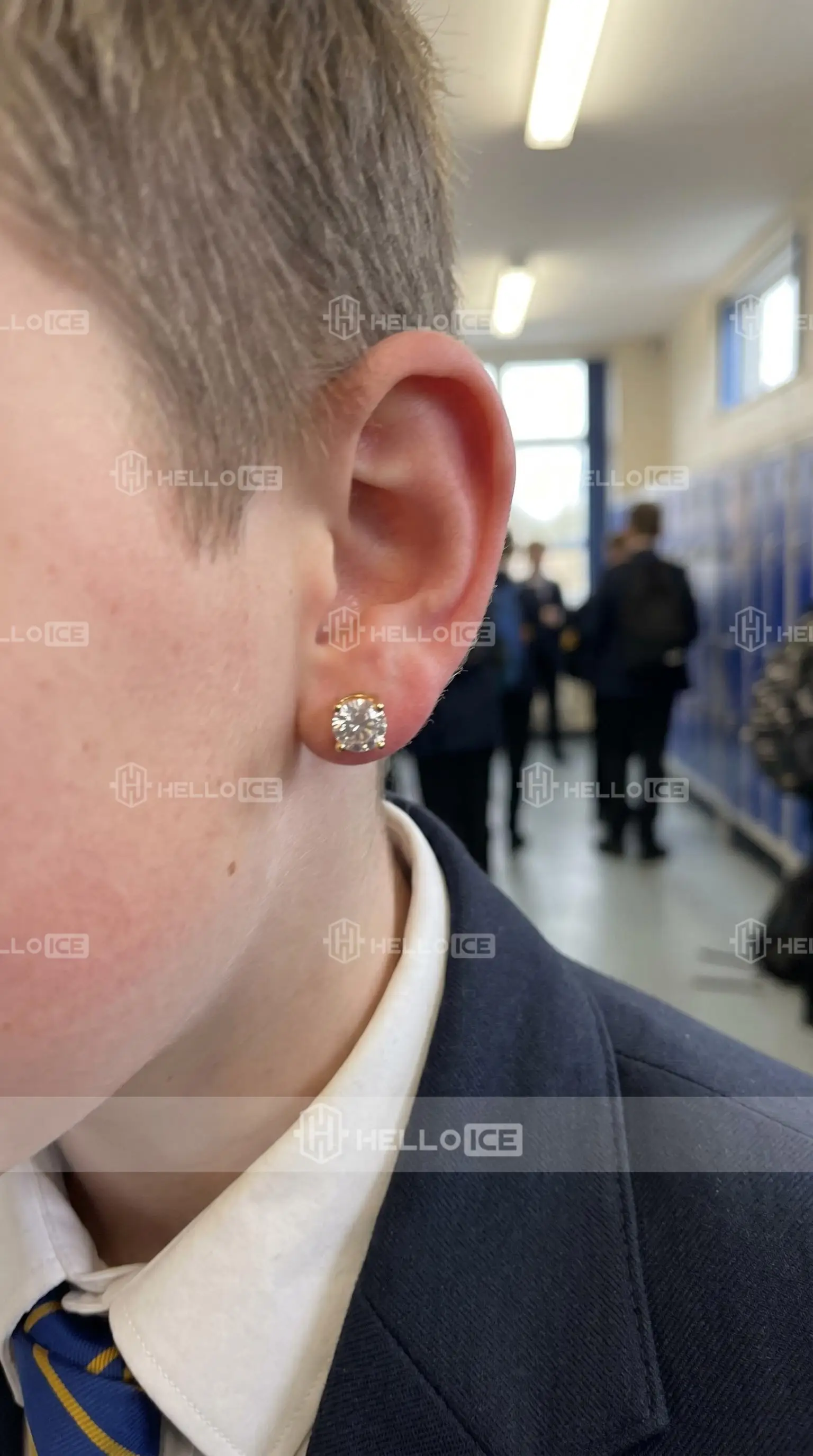 Helloice Review Image