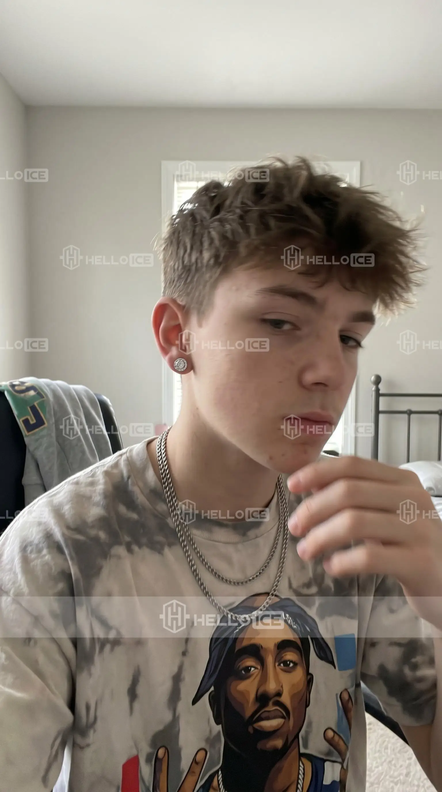Helloice Review Image