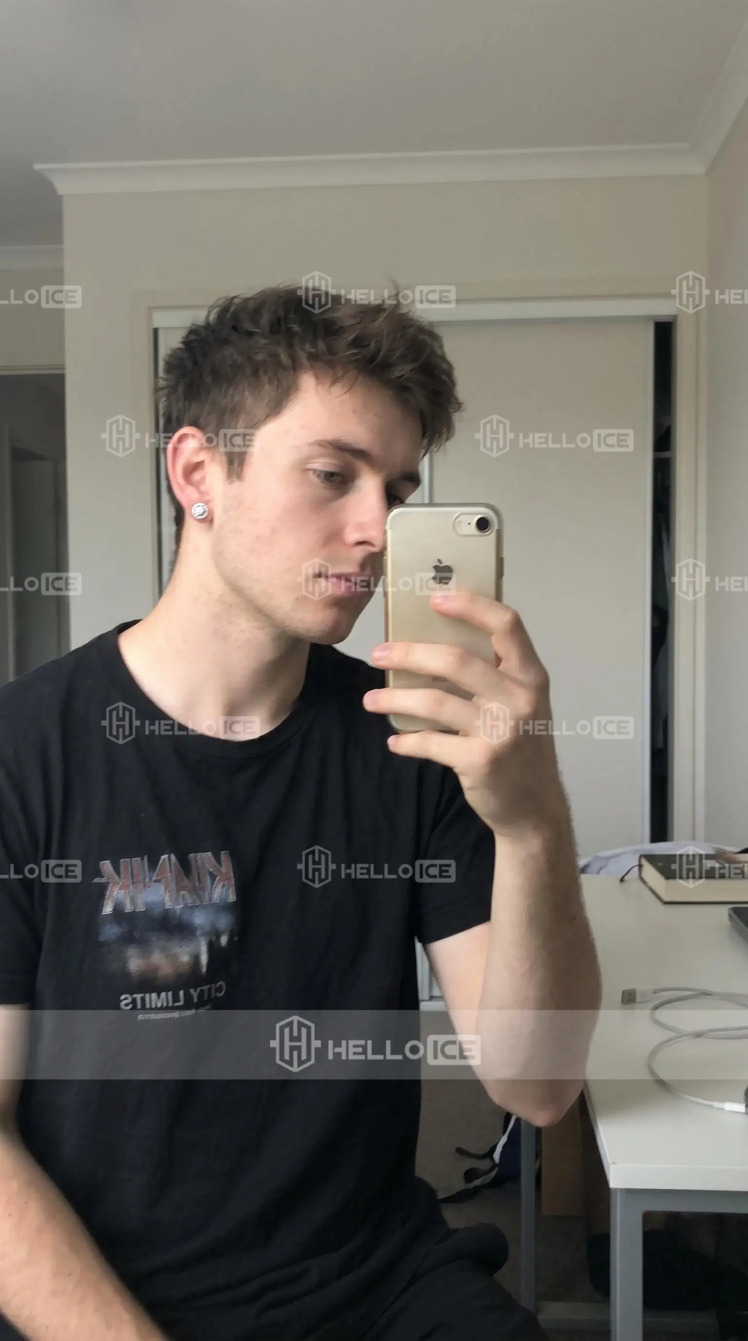 Helloice Review Image