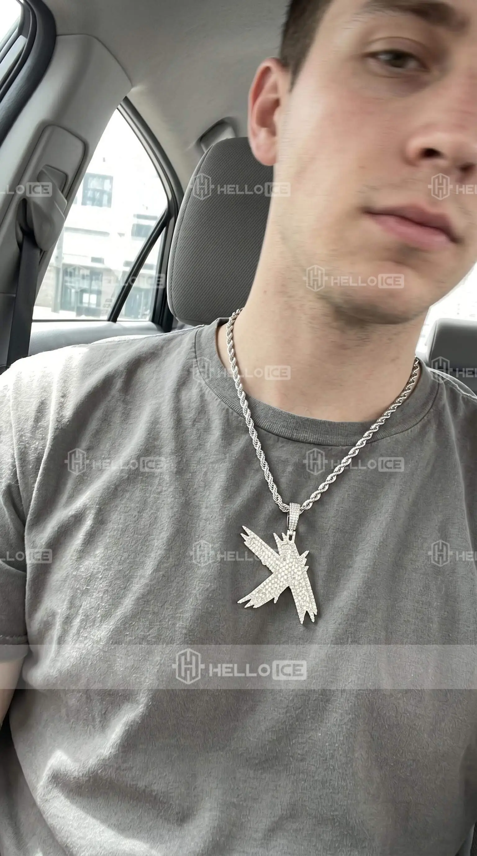 Helloice Review Image