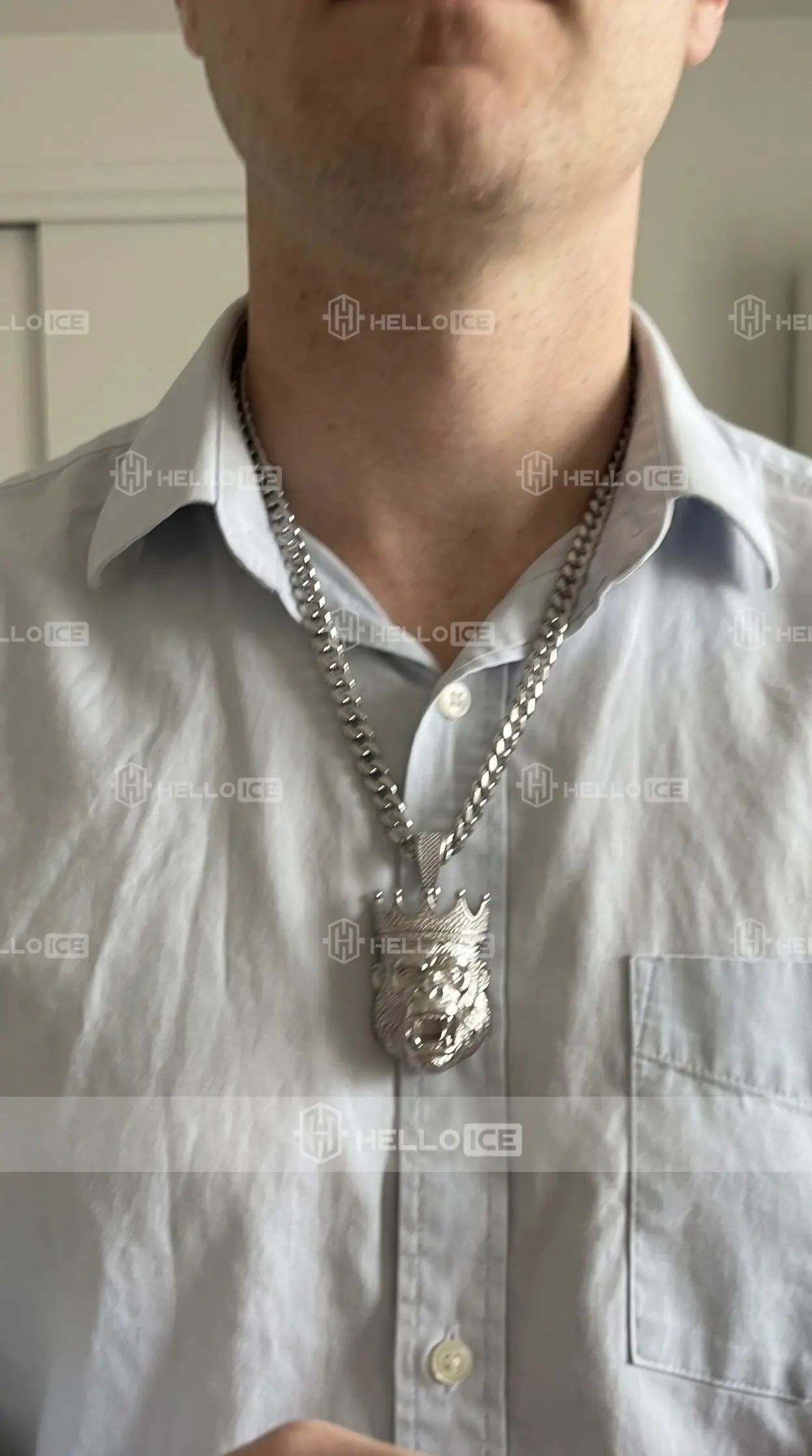 Helloice Review Image