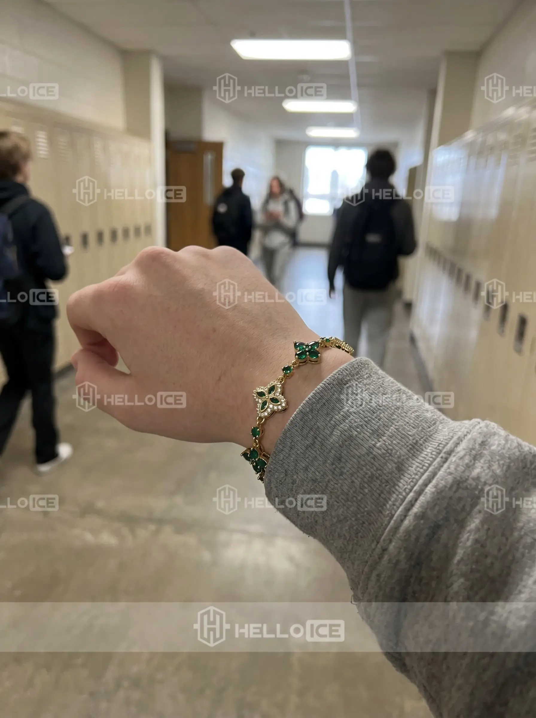 Helloice Review Image