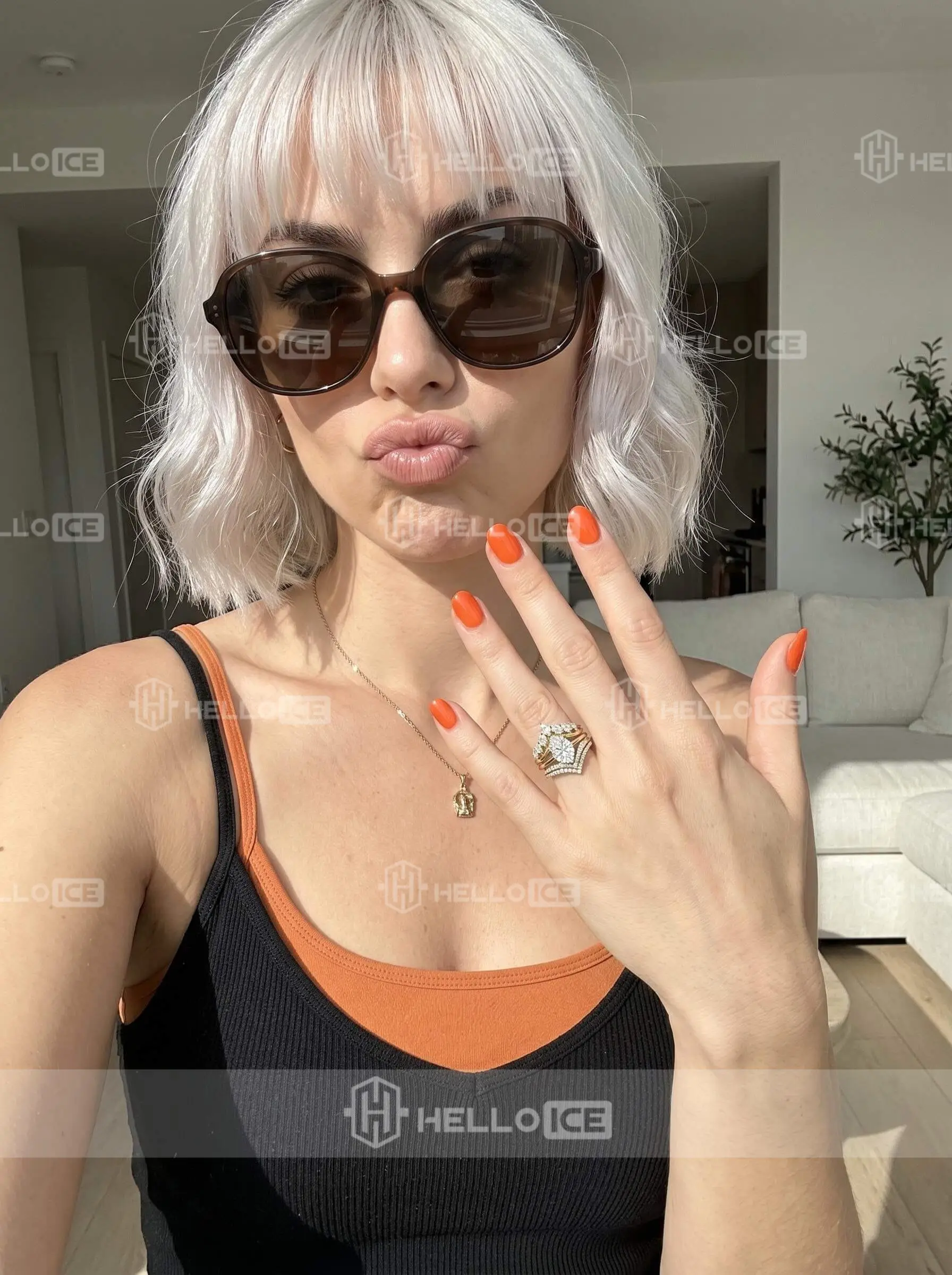 Helloice Review Image