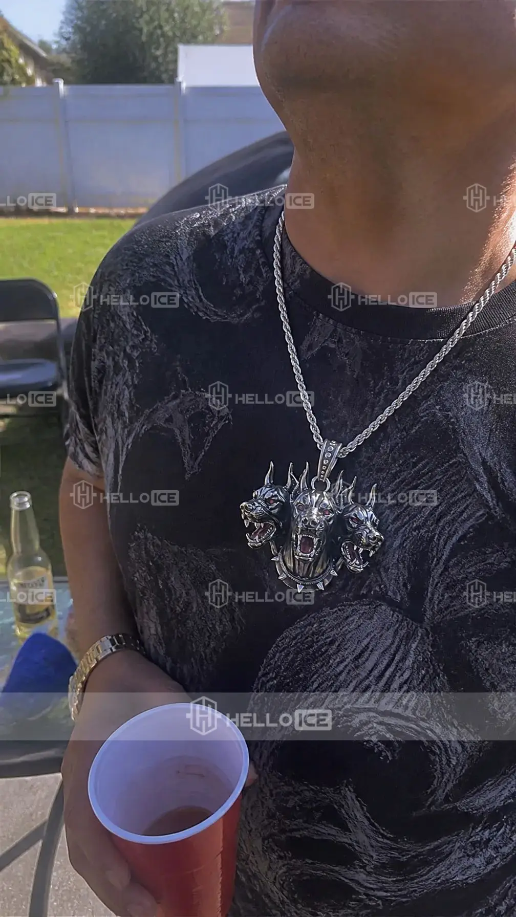 Helloice Review Image