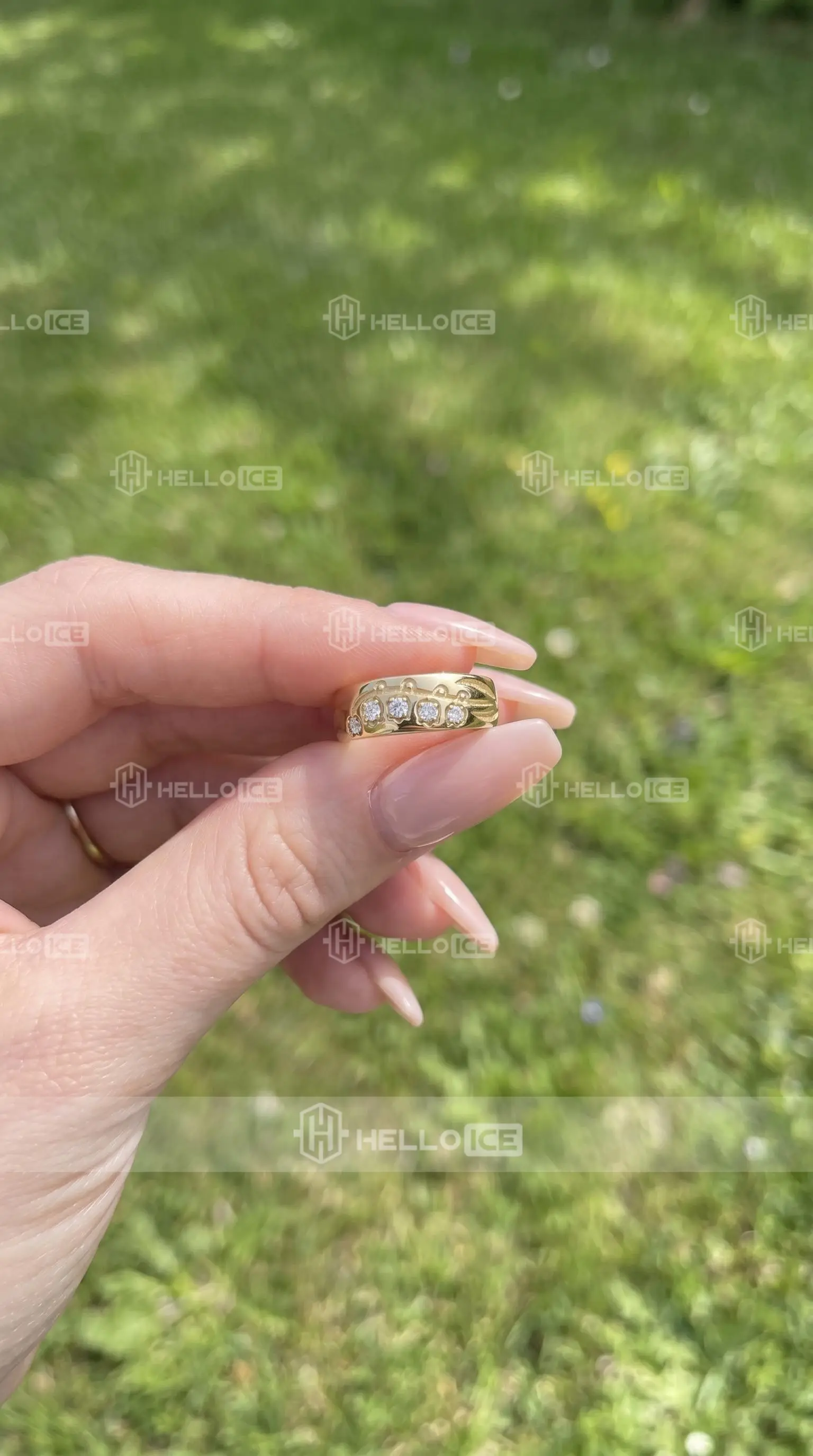 Helloice Review Image