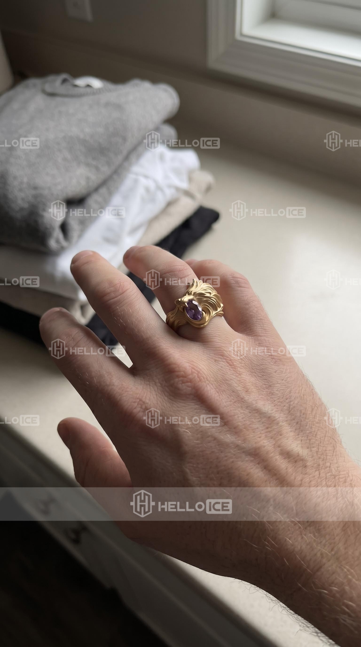 Helloice Review Image