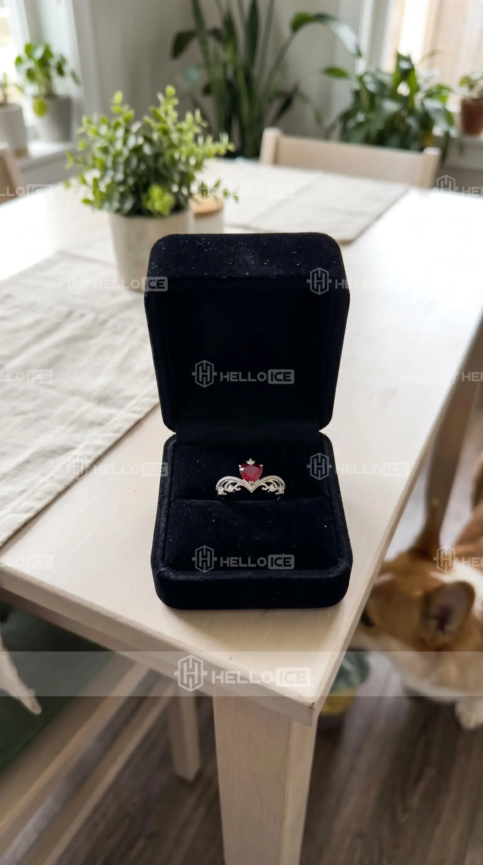 Helloice Review Image
