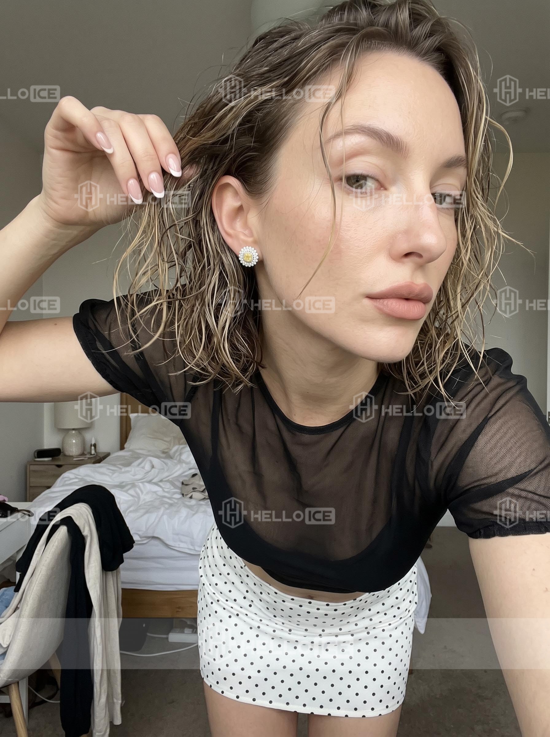 Helloice Review Image