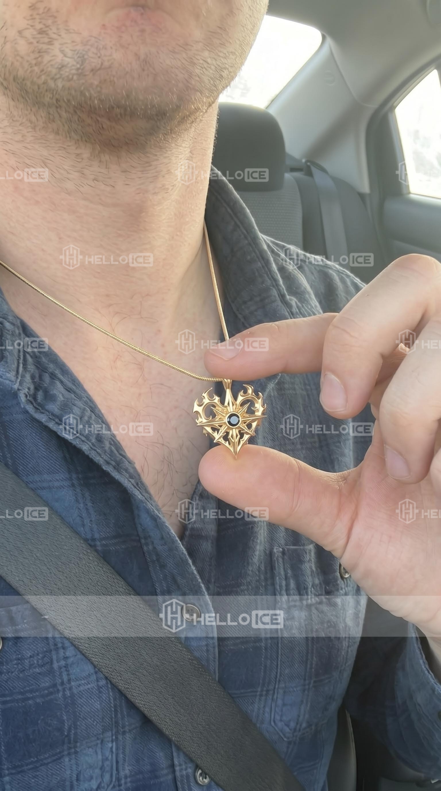 Helloice Review Image