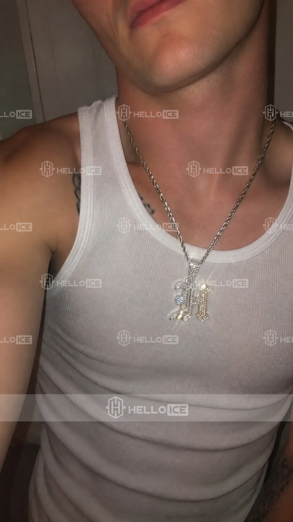 Helloice Review Image