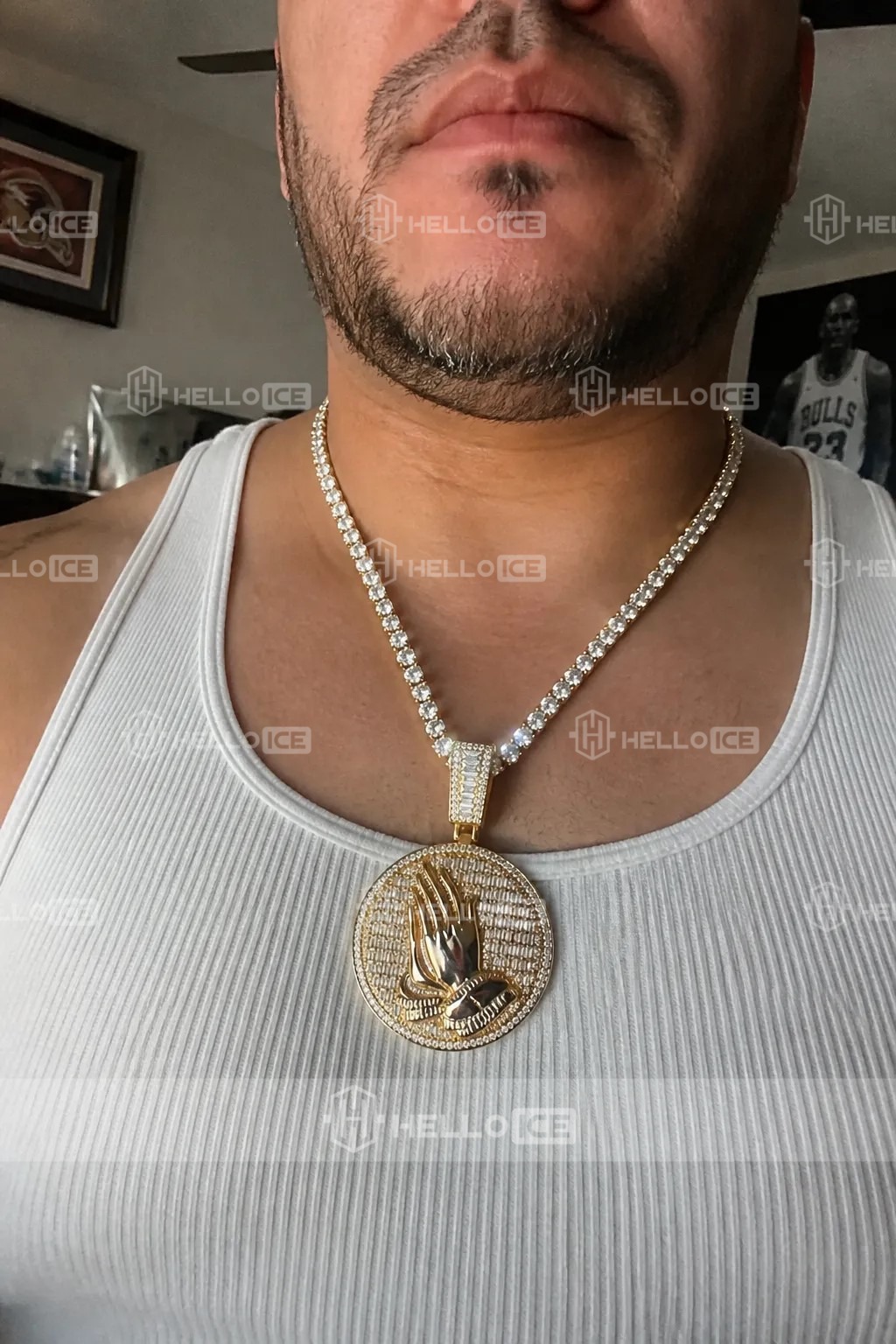 Helloice Review Image