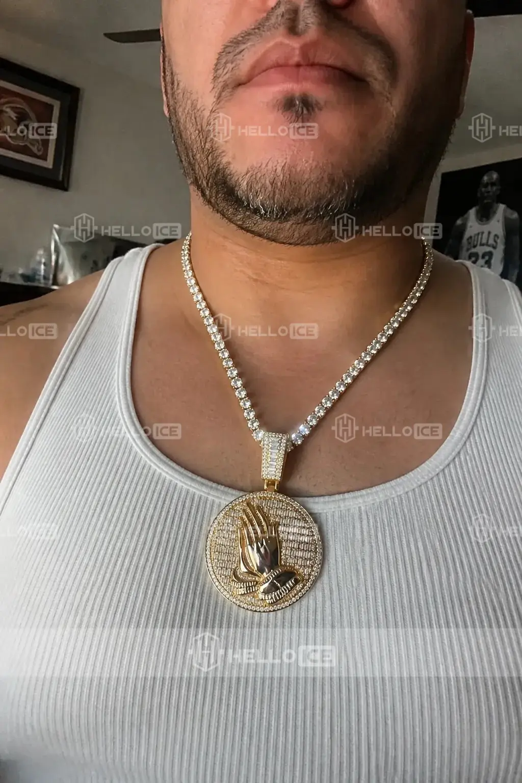 Helloice Review Image