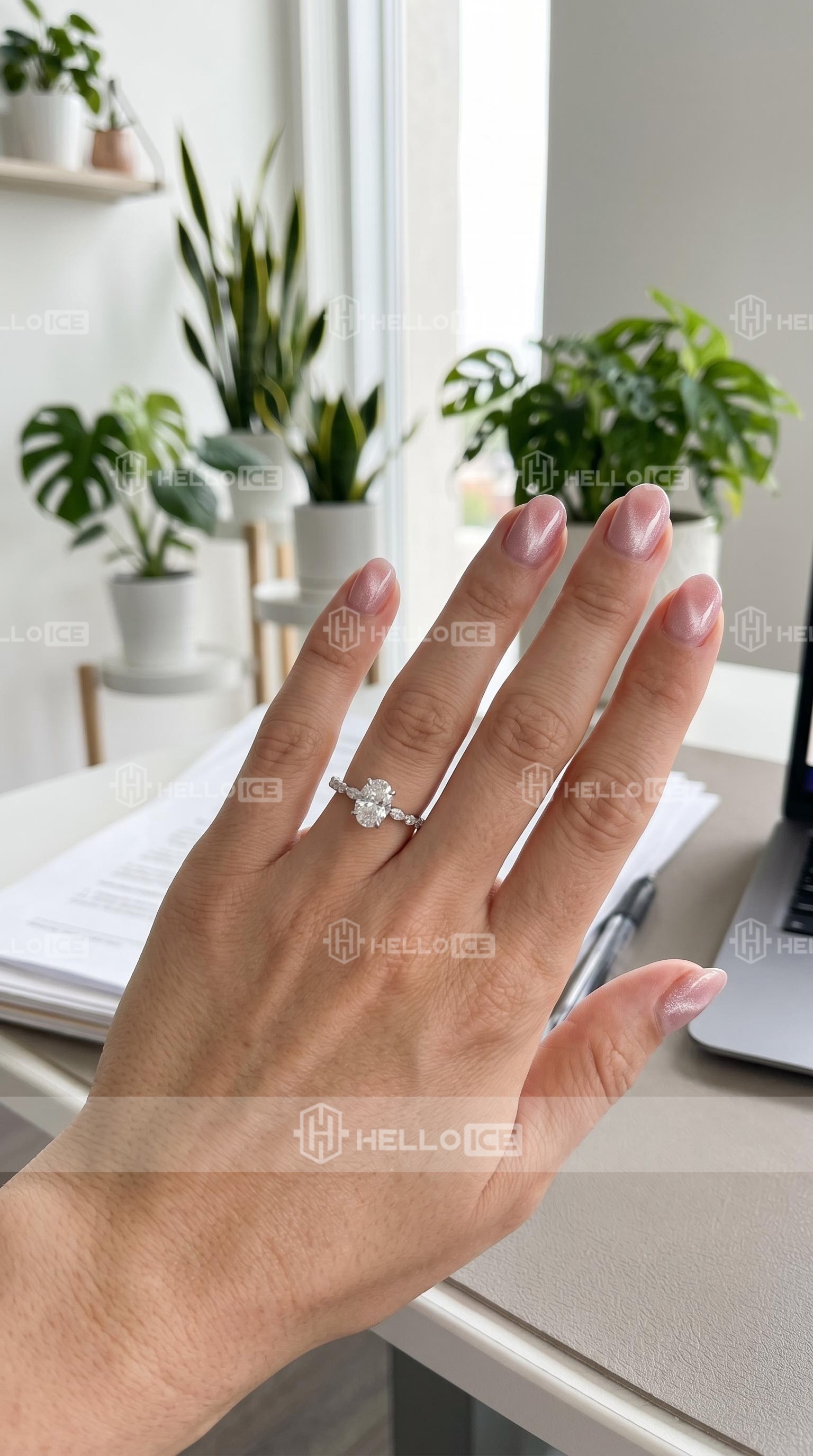 Helloice Review Image