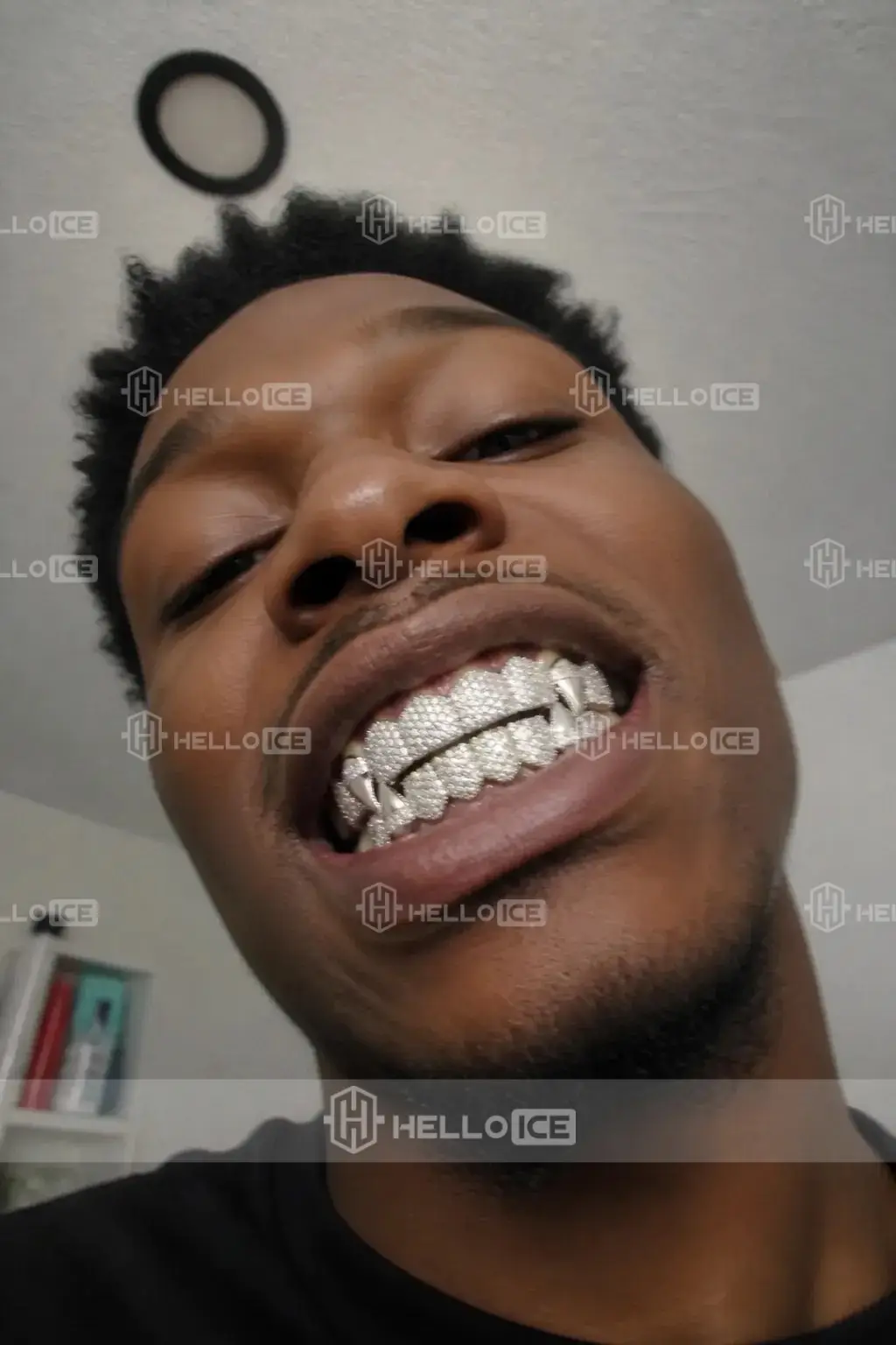 Helloice Review Image