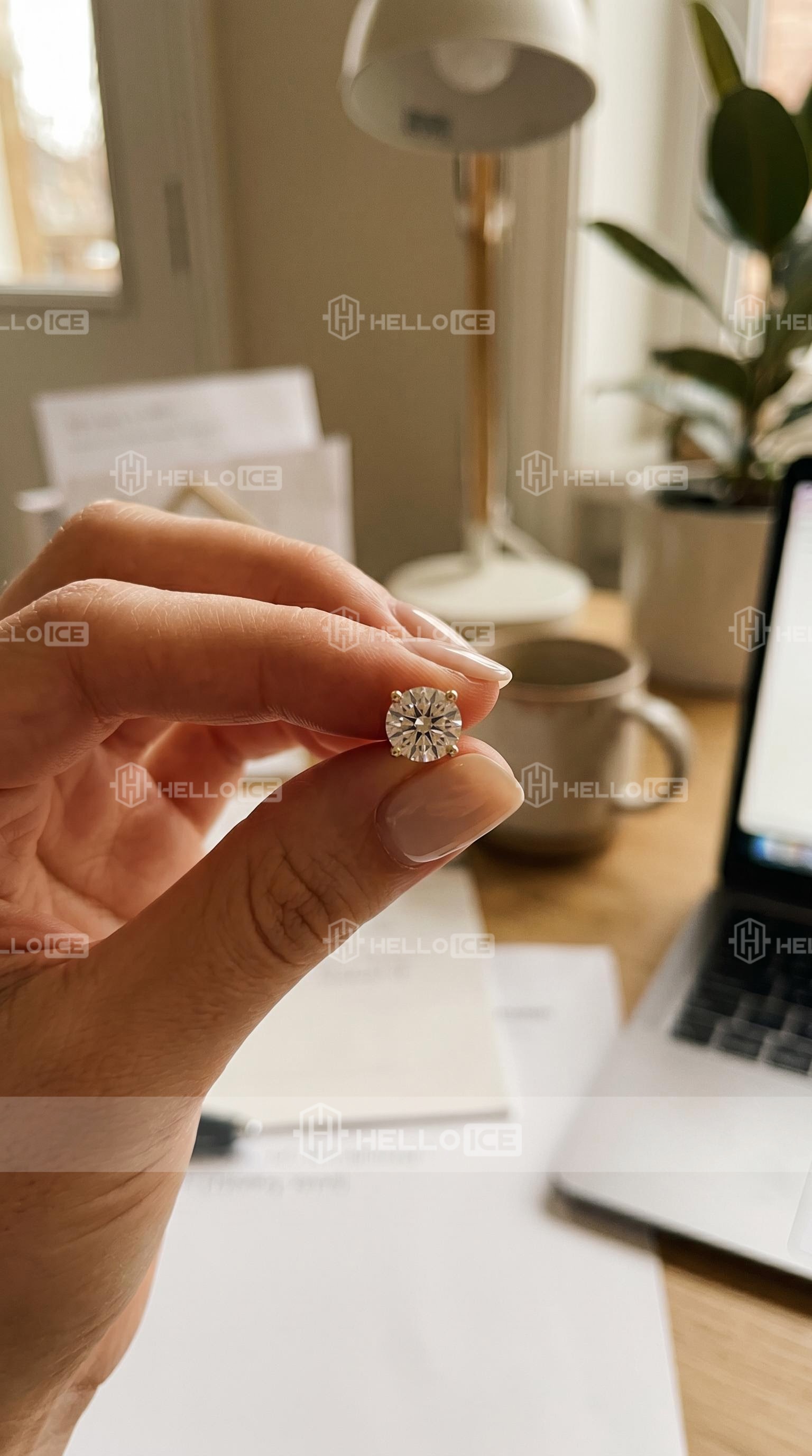 Helloice Review Image