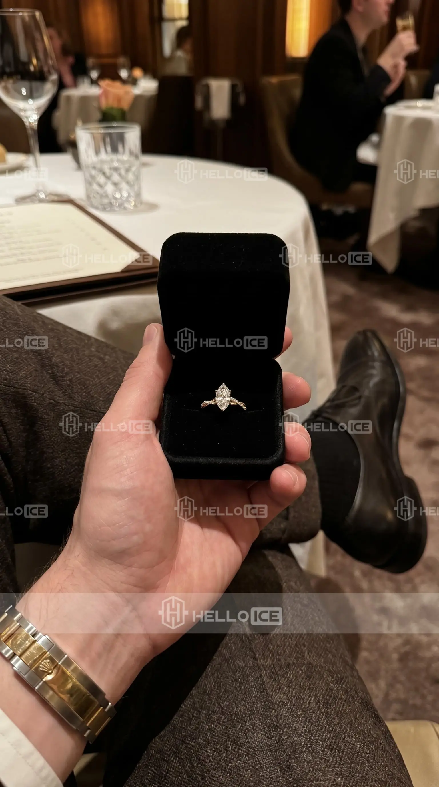 Helloice Review Image