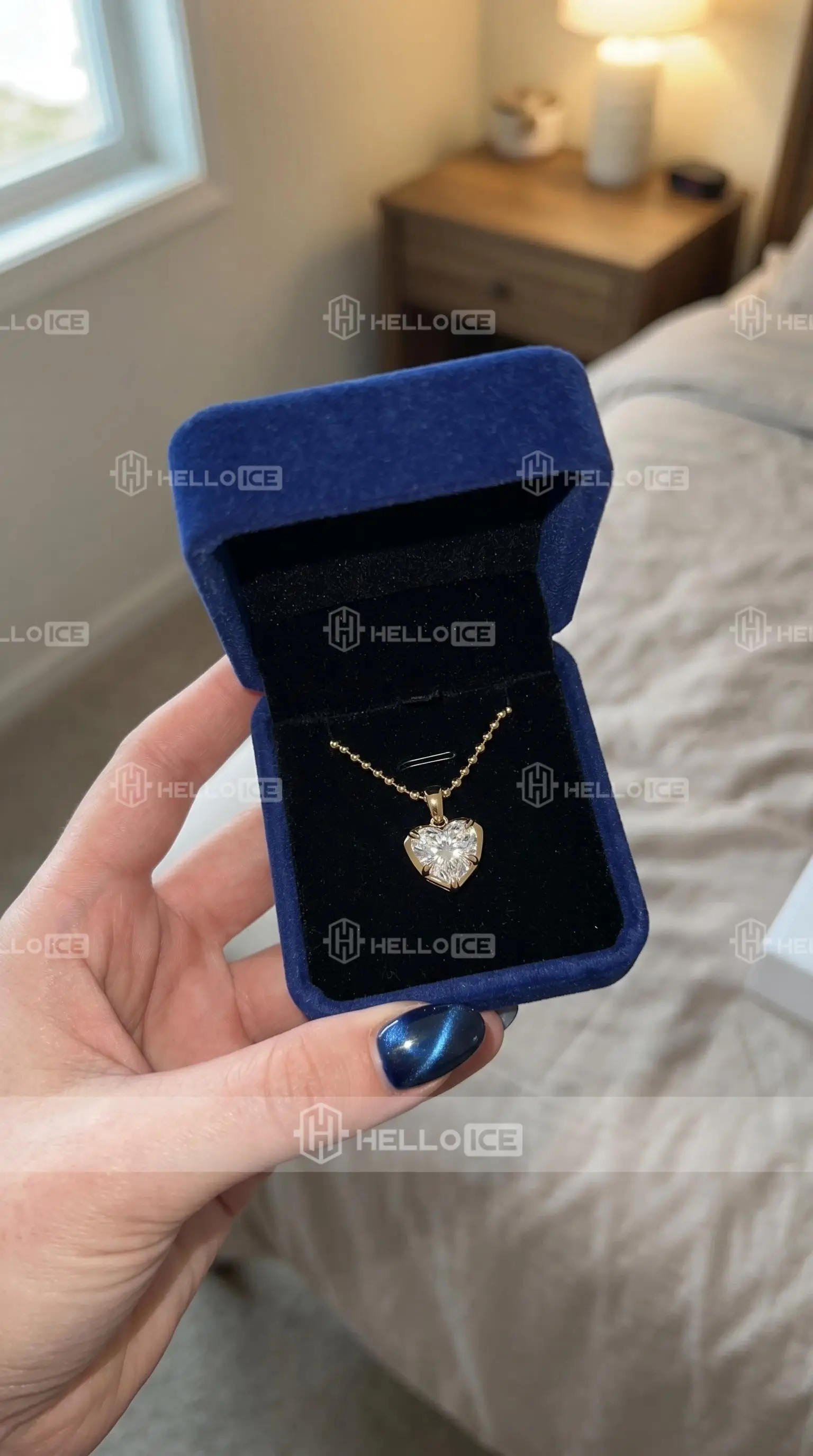 Helloice Review Image