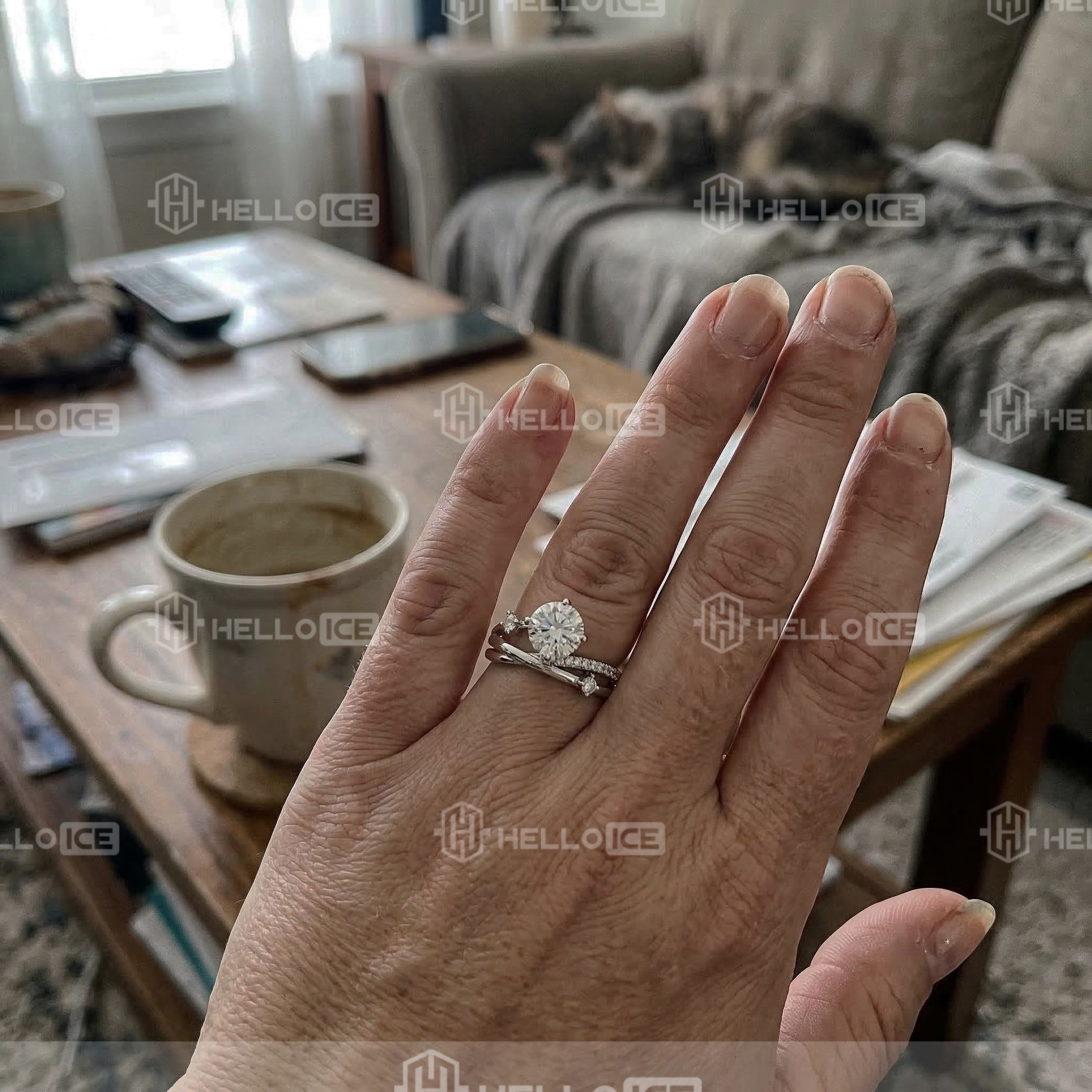 Helloice Review Image