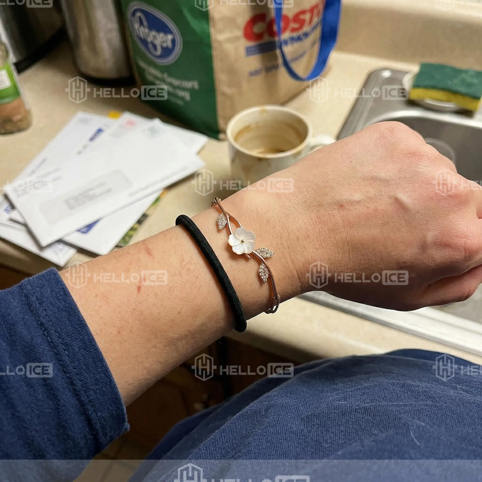 Helloice Review Image