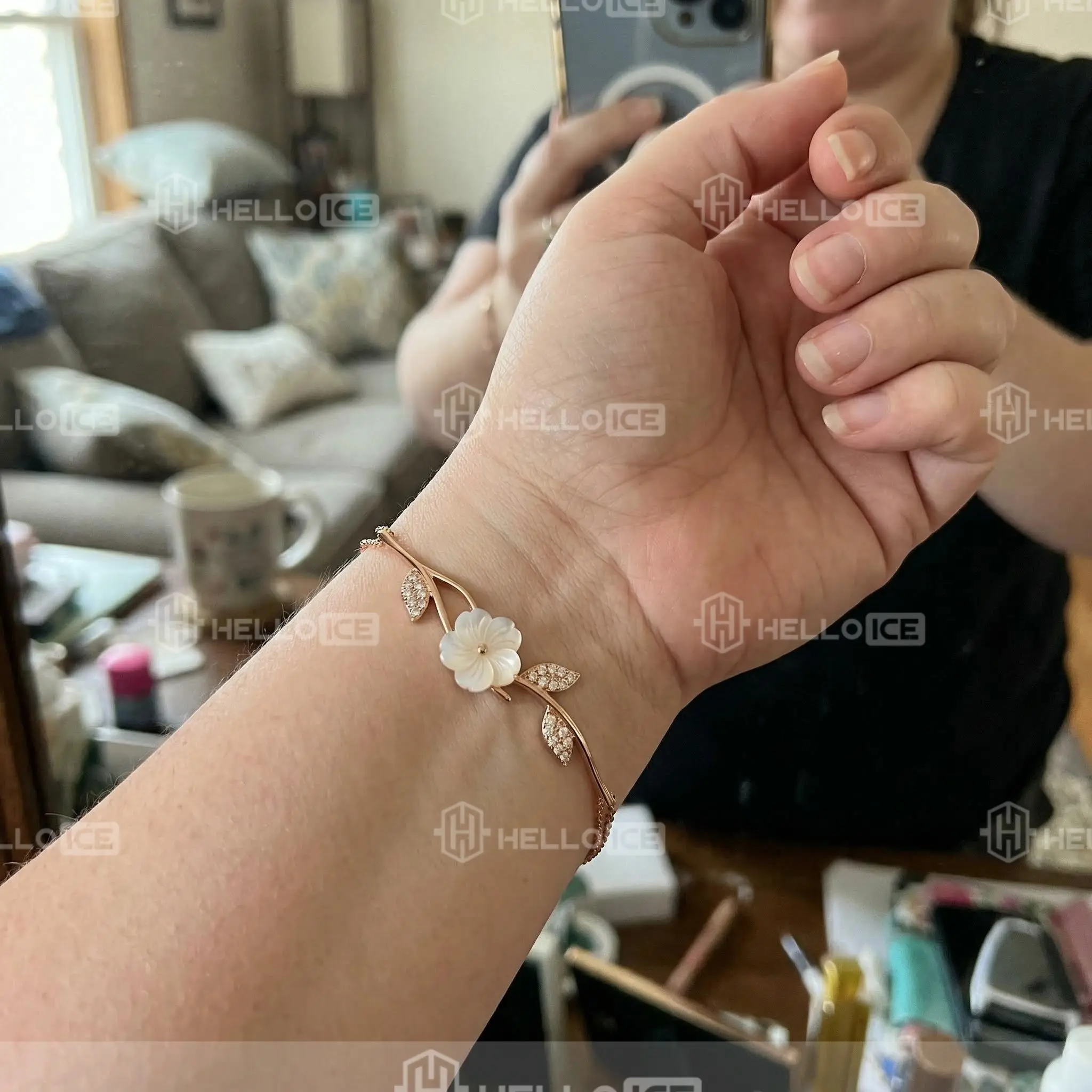Helloice Review Image