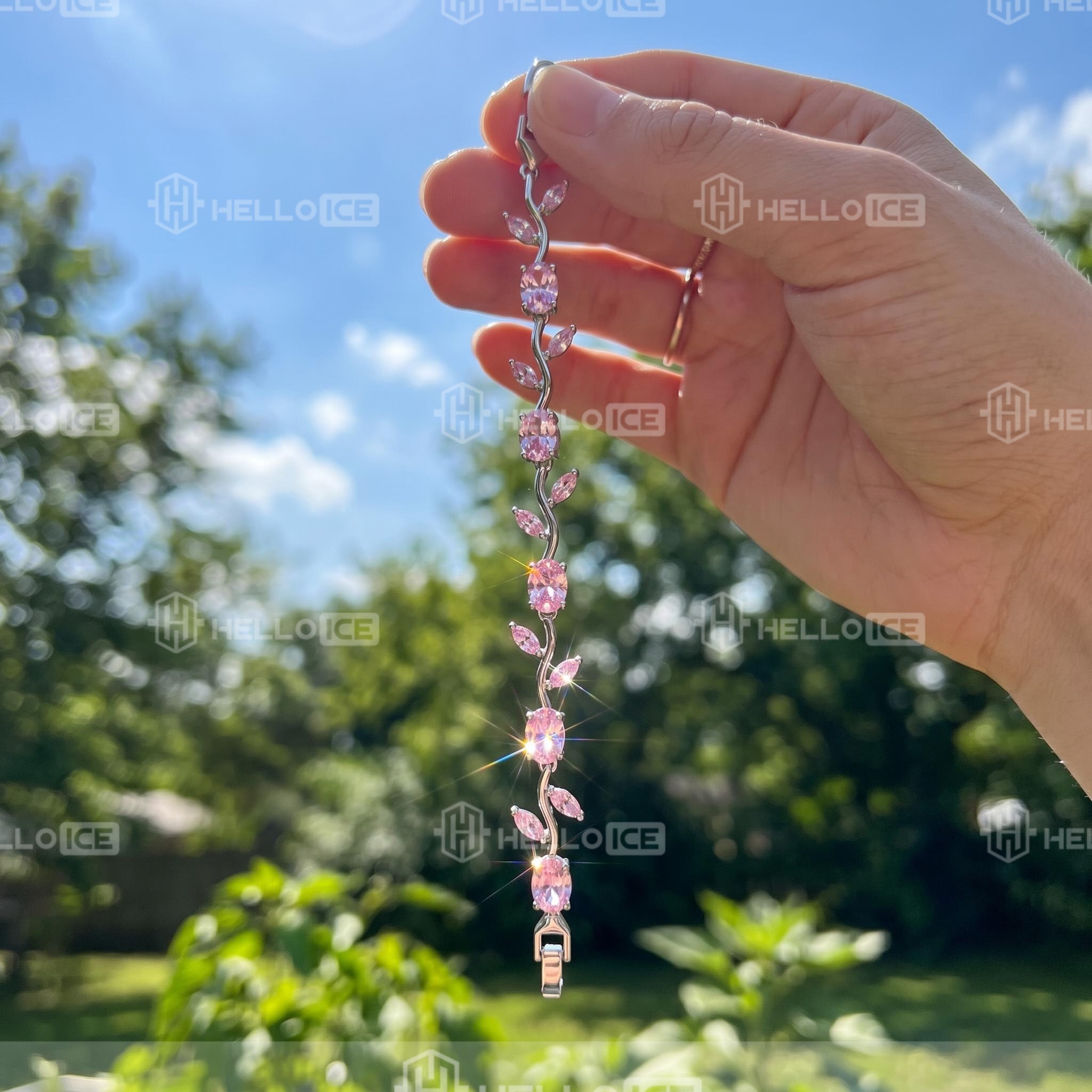 Helloice Review Image
