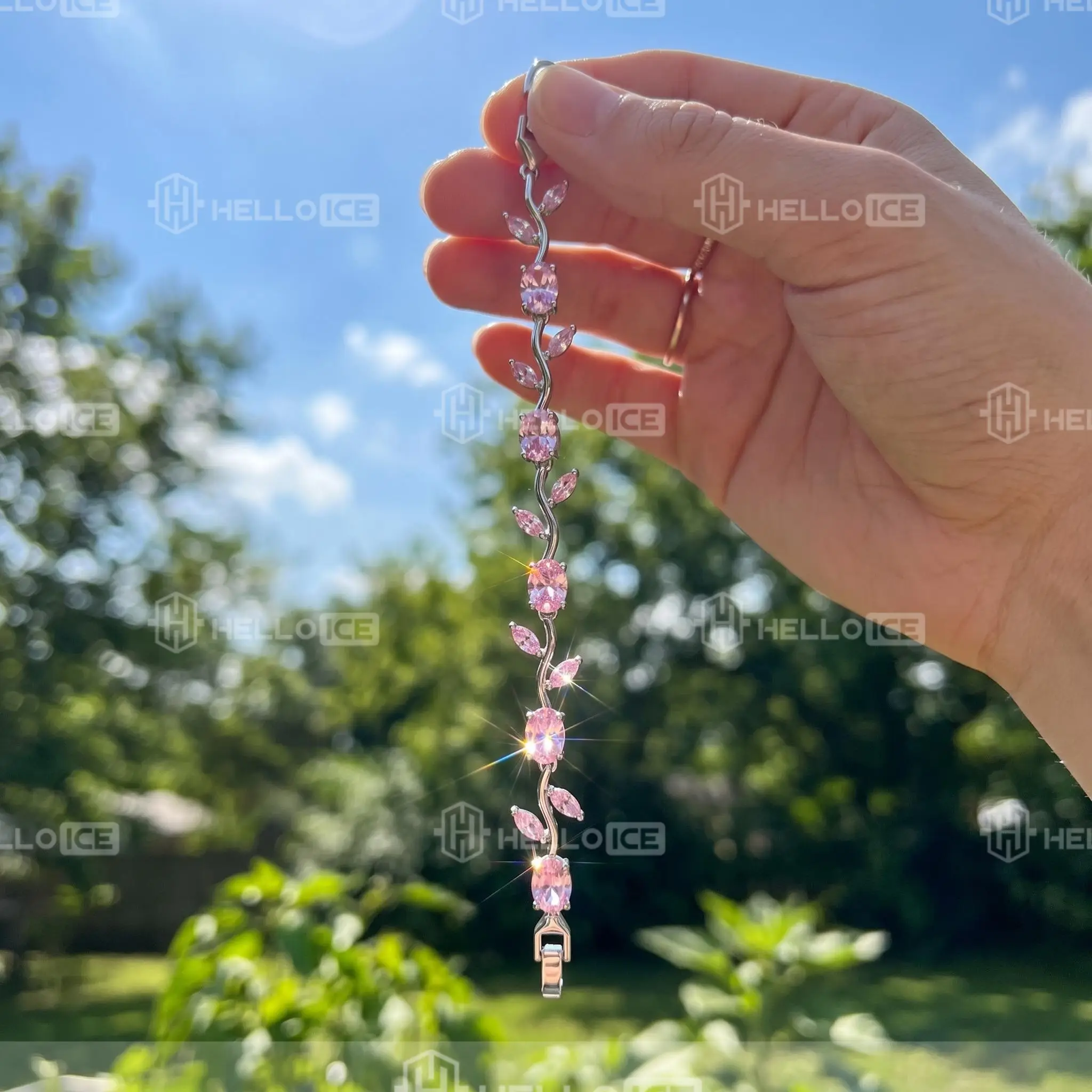 Helloice Review Image