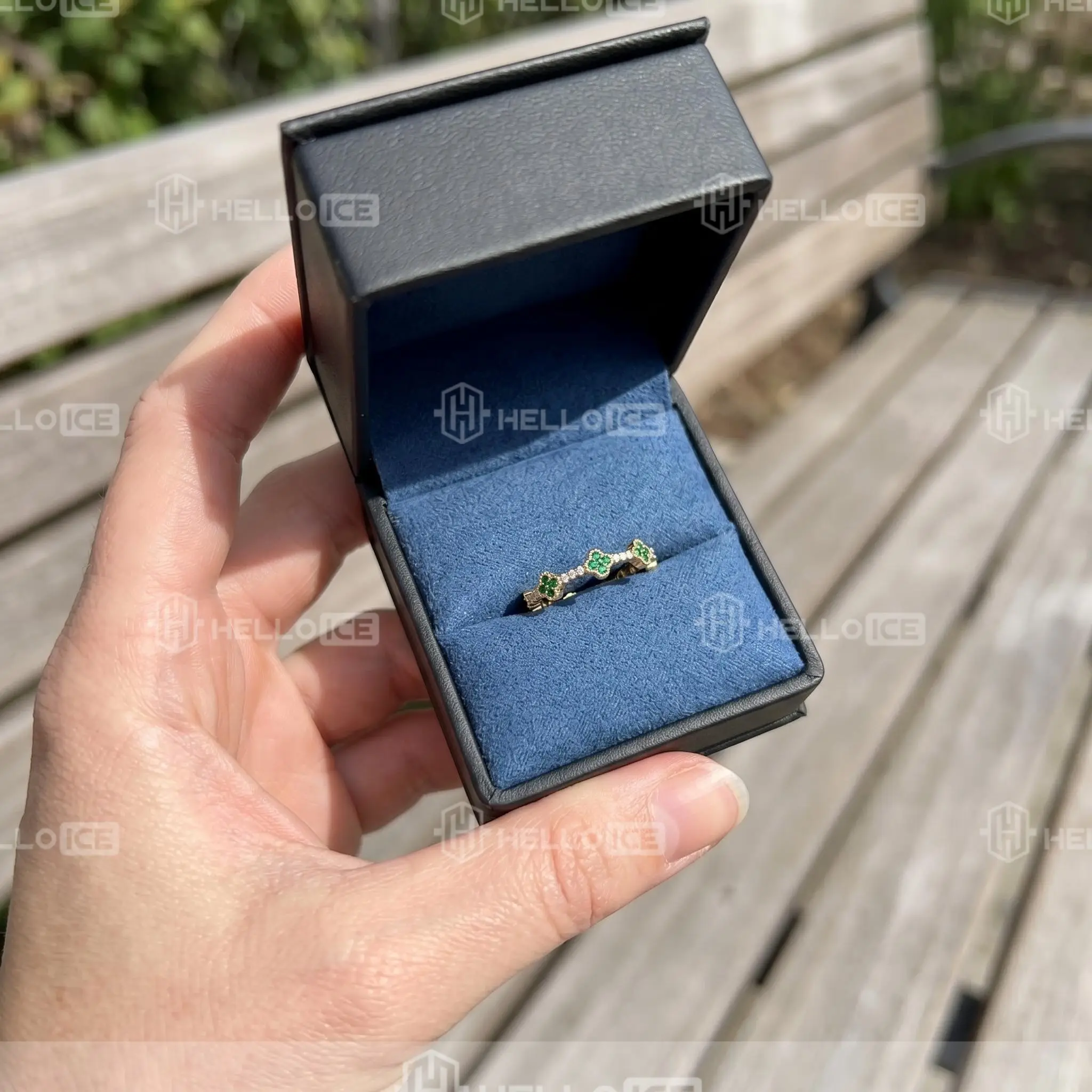 Helloice Review Image